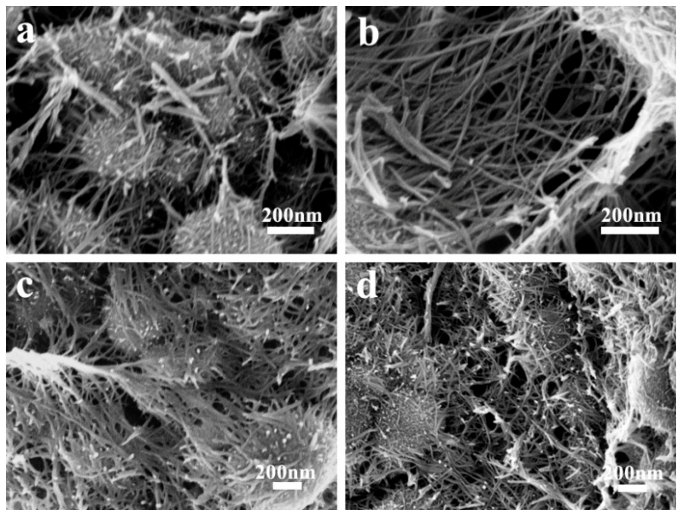 Nanomaterials 11 02715 g002