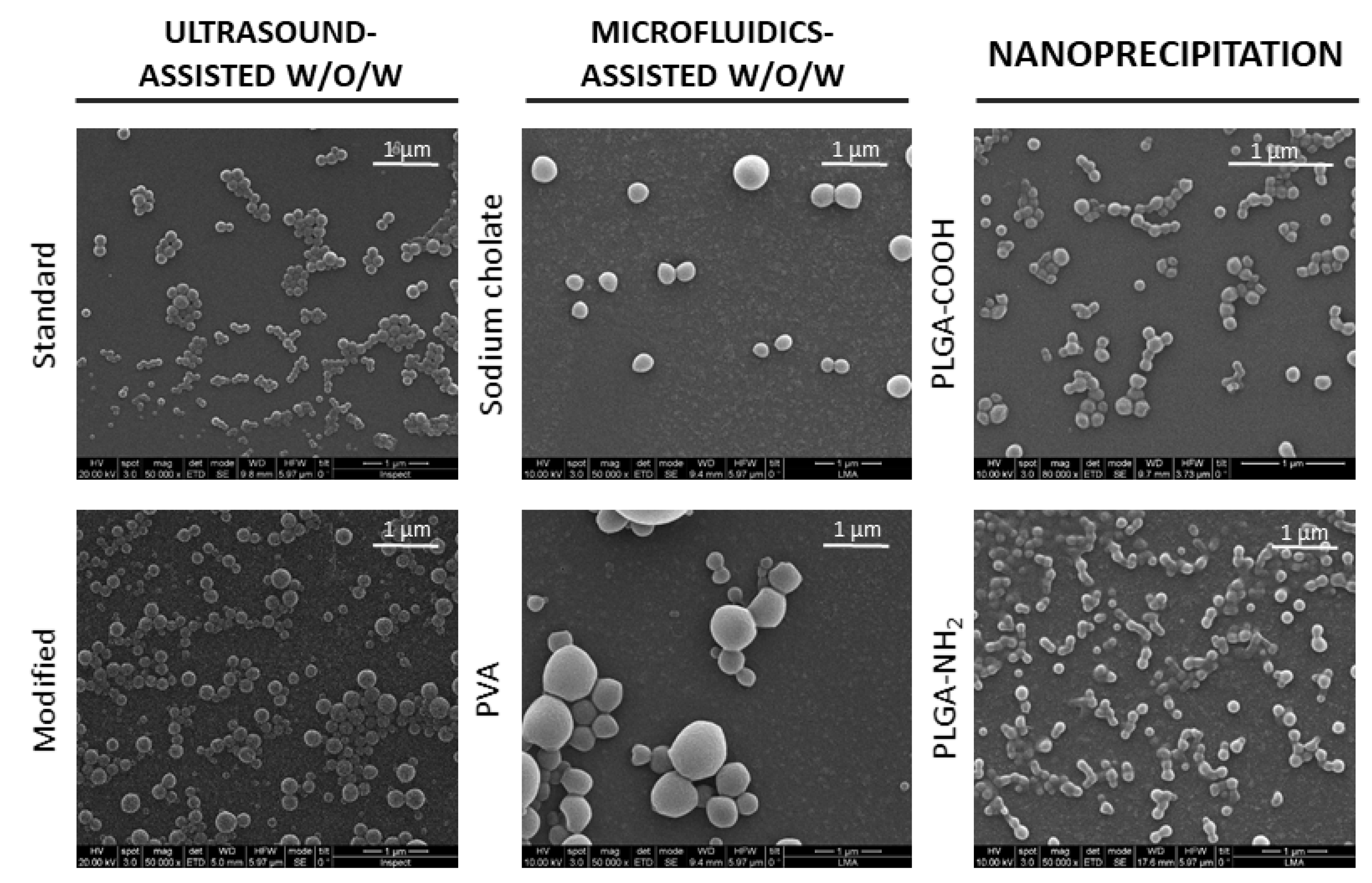 Nanomaterials 11 02723 g003
