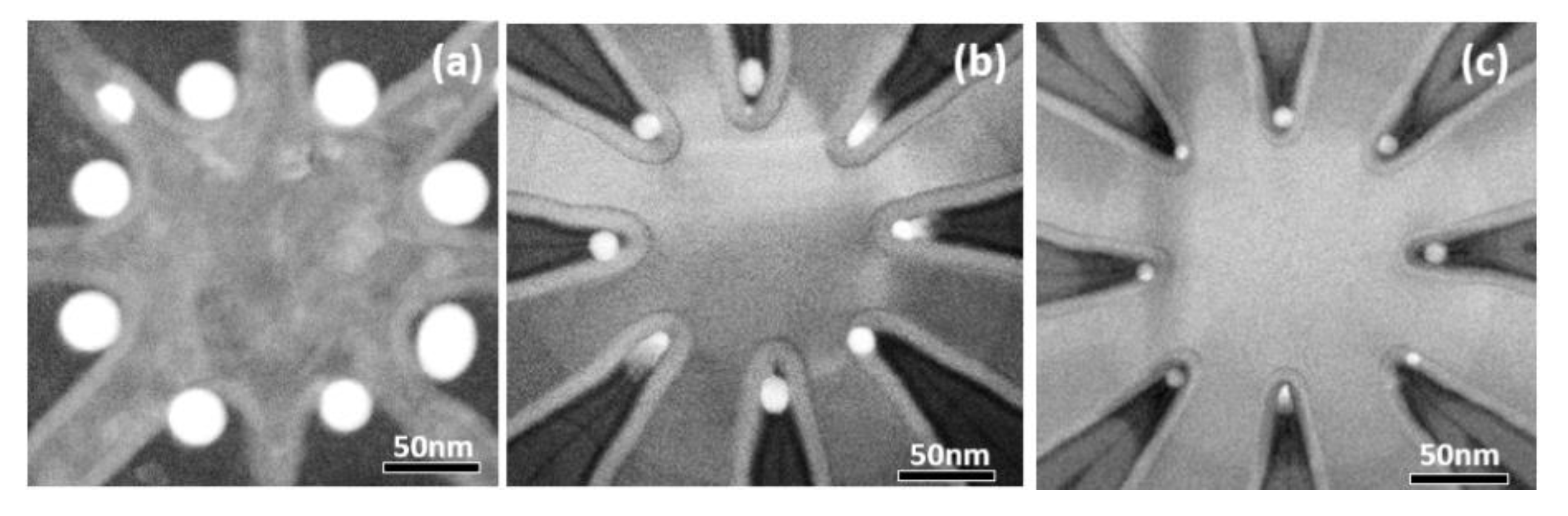 Nanomaterials 11 02743 g004 Nanomaterials 11 02743 g004