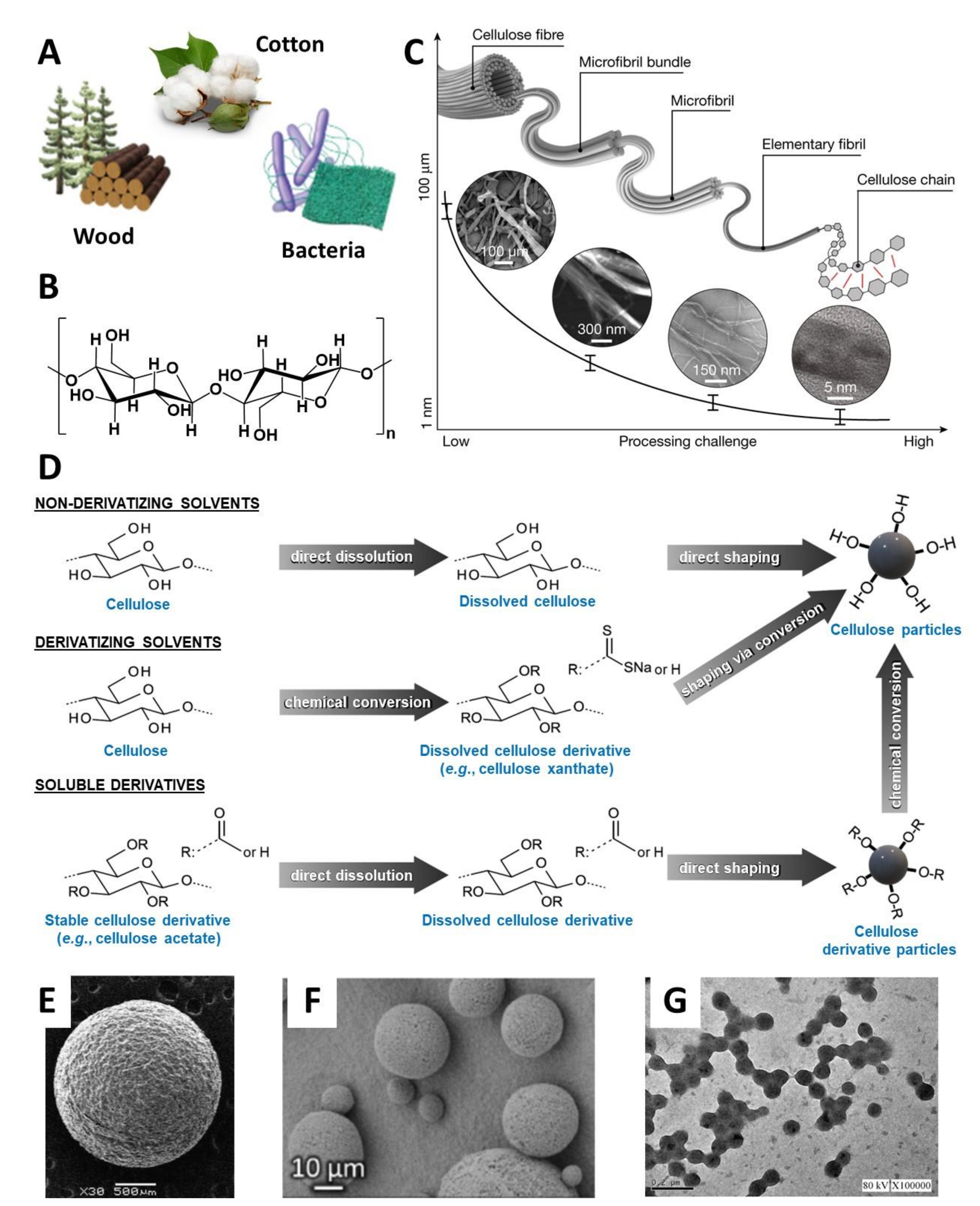 Nanomaterials 11 02744 g001