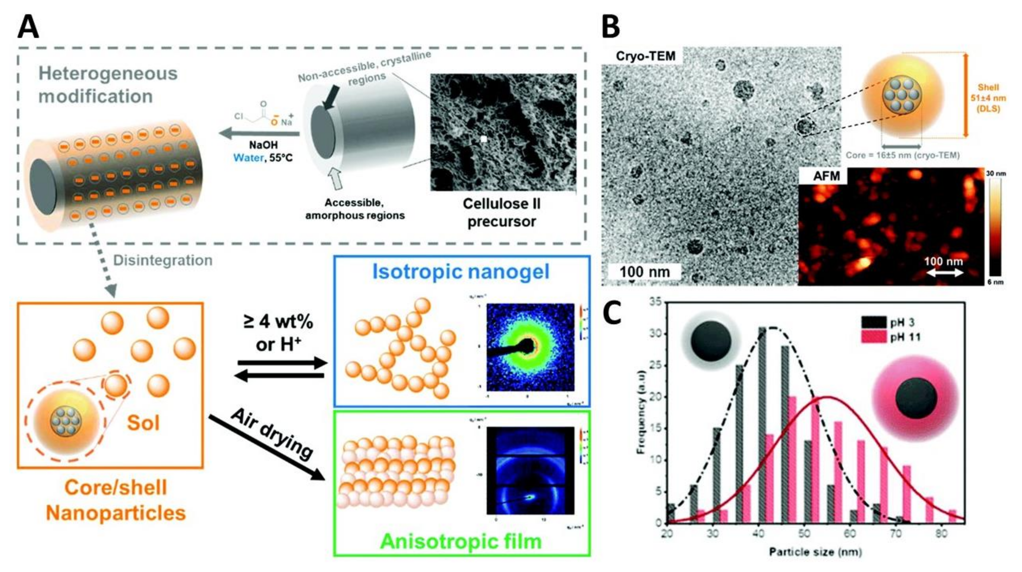 Nanomaterials 11 02744 g006