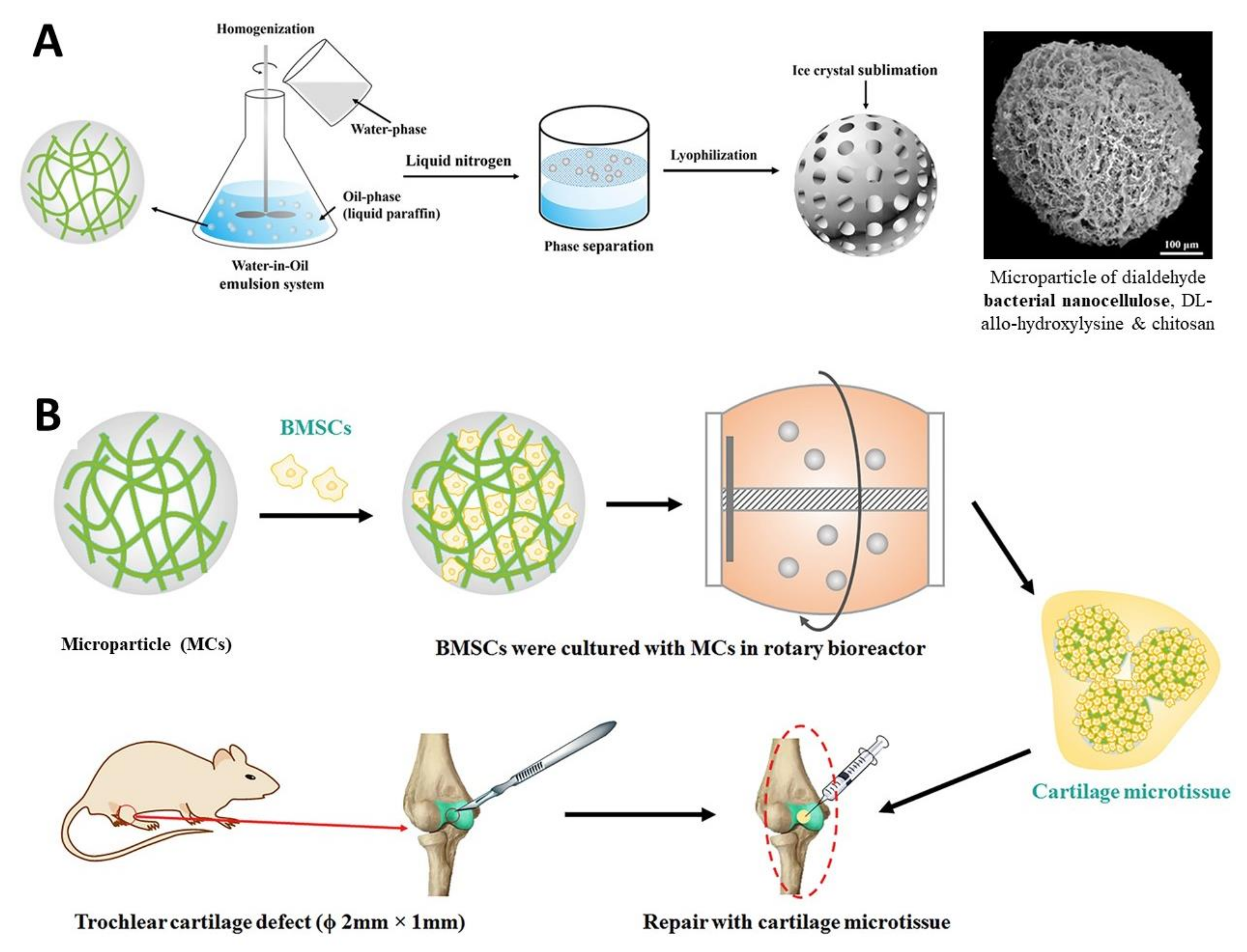 Nanomaterials 11 02744 g007