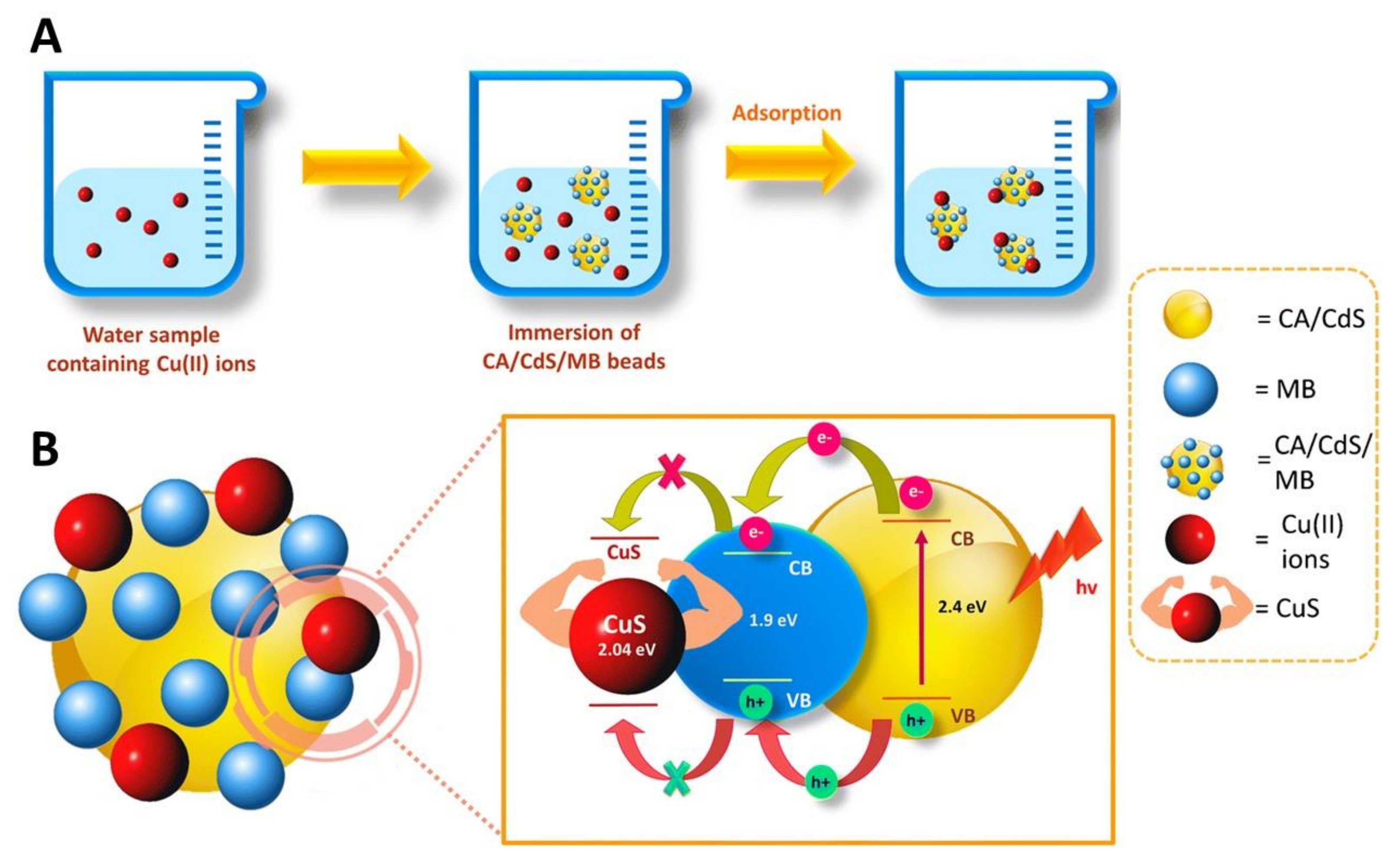 Nanomaterials 11 02744 g008