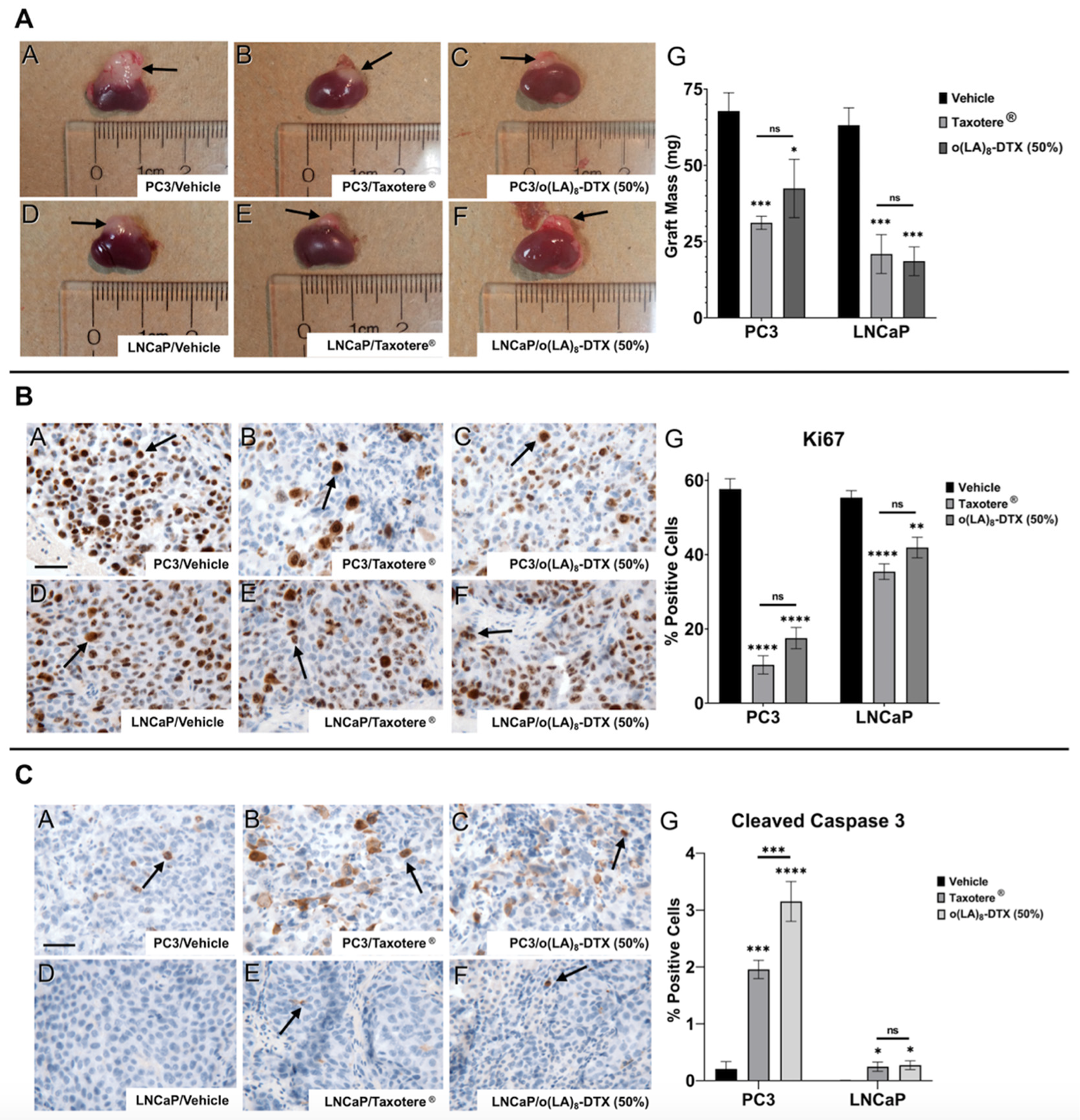 Nanomaterials 11 02745 g007