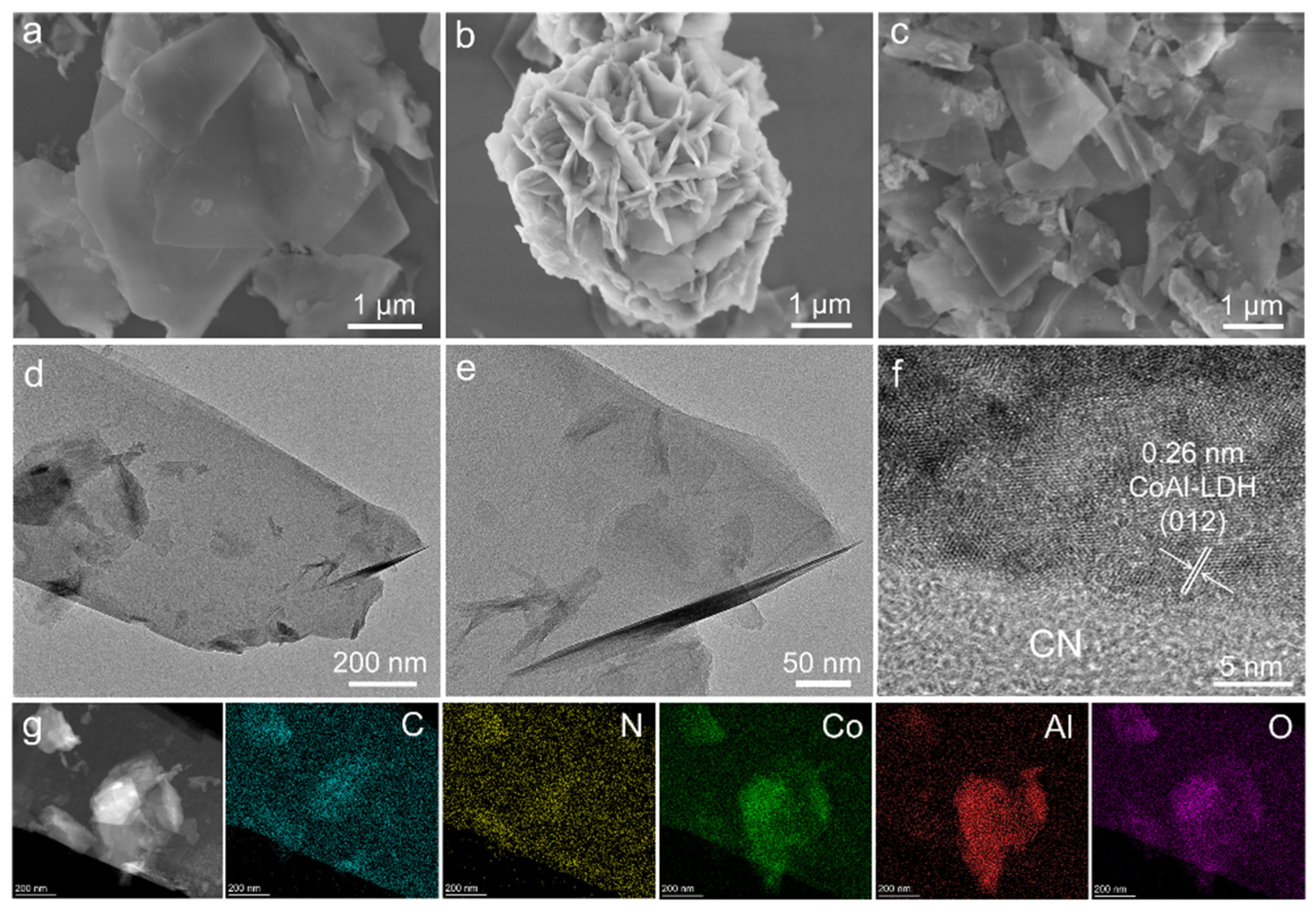 Nanomaterials 11 02762 g002
