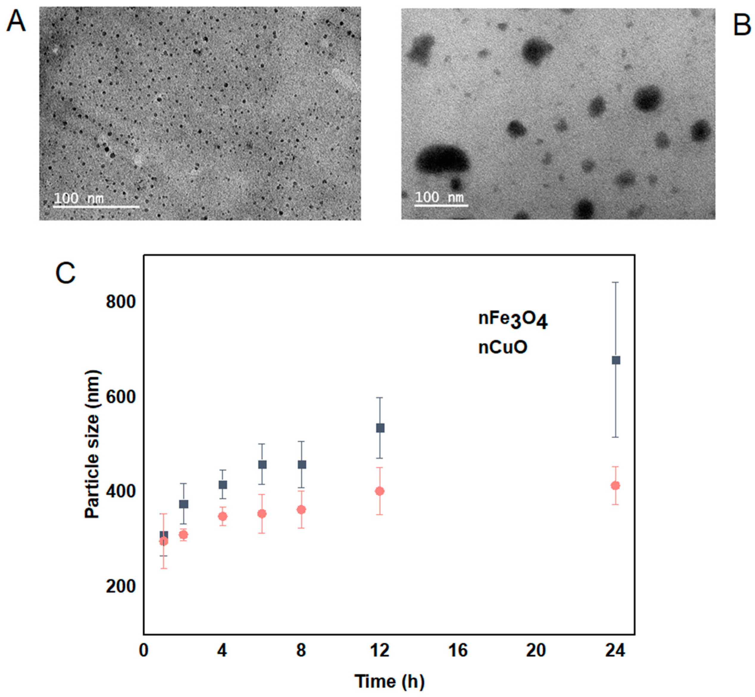 Nanomaterials 11 02769 g001