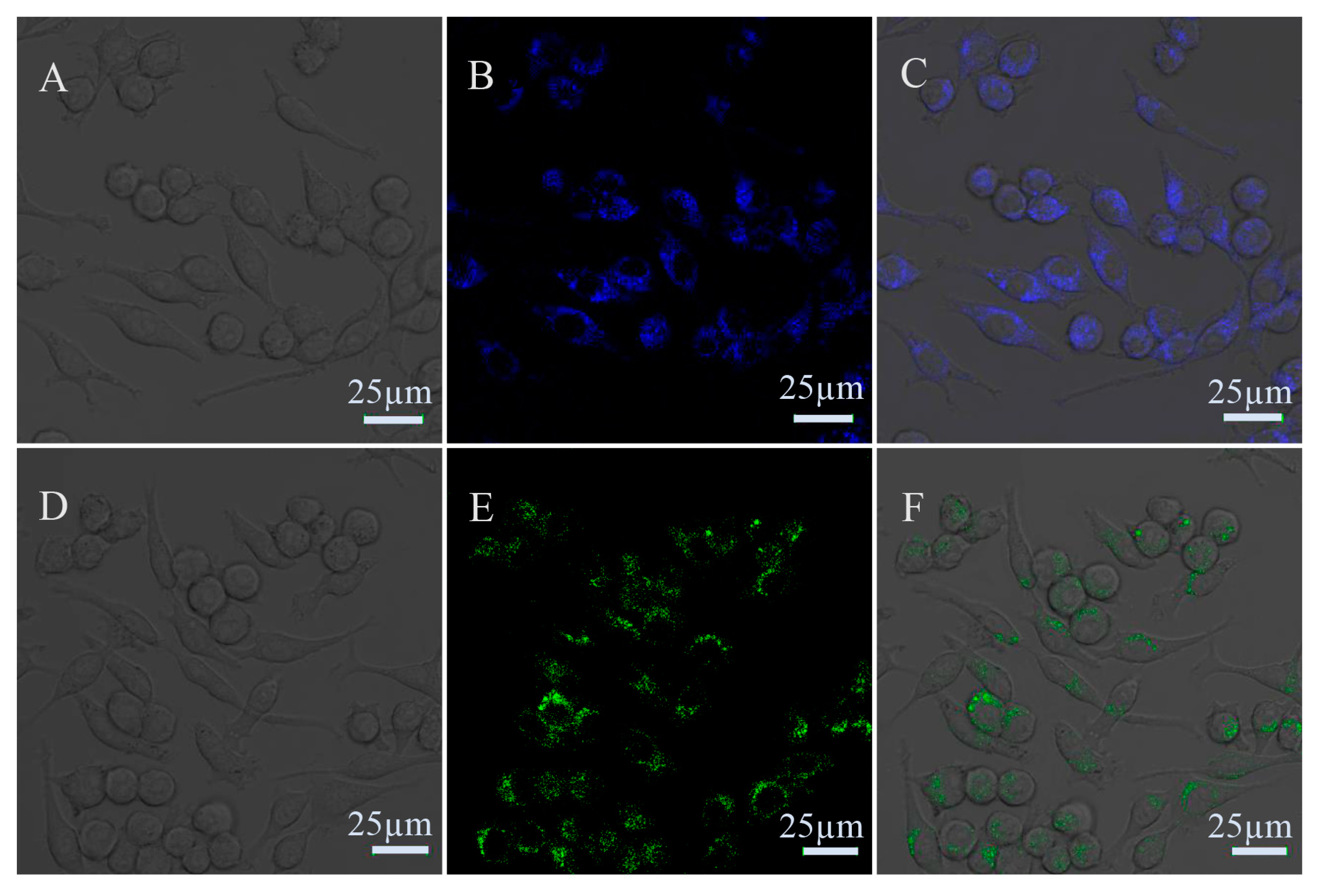Nanomaterials 11 02798 g007