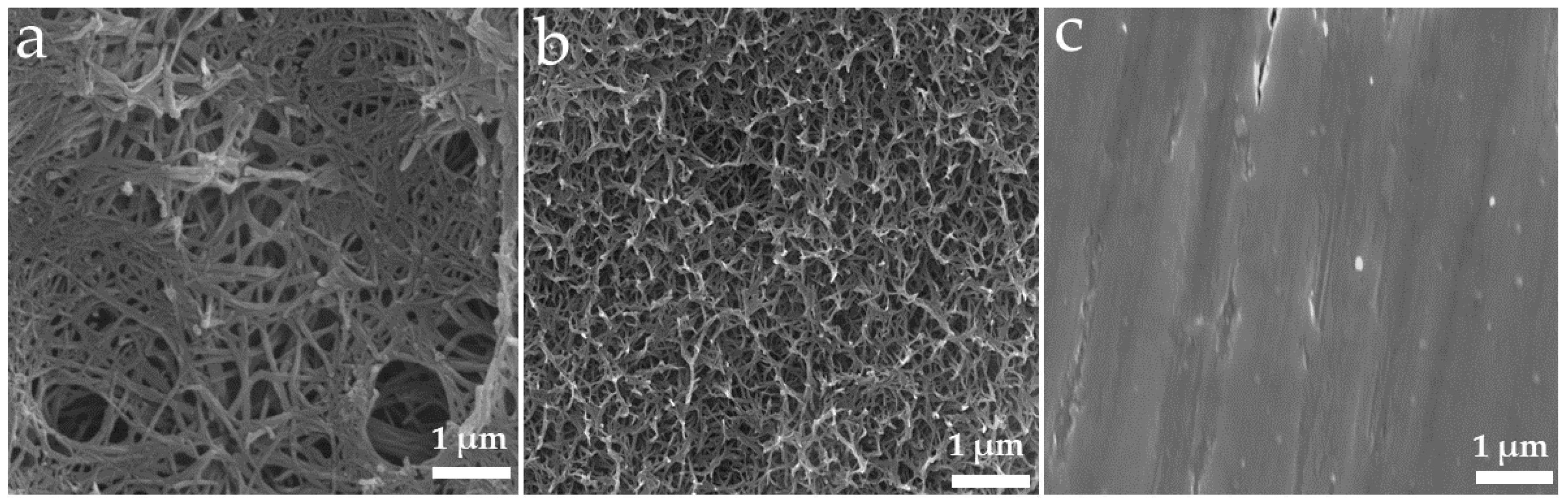 Nanomaterials 11 02799 g001