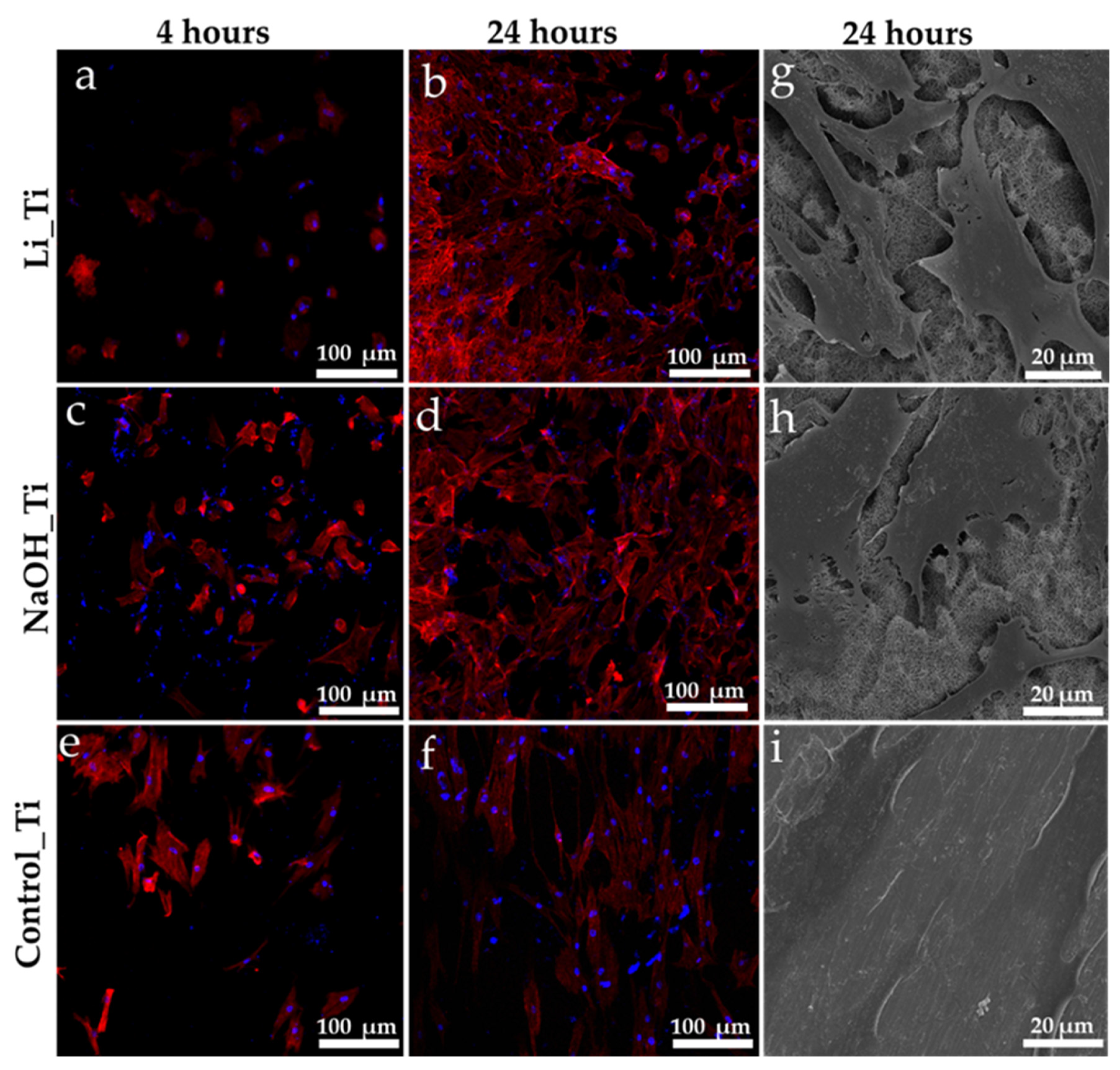 Nanomaterials 11 02799 g003
