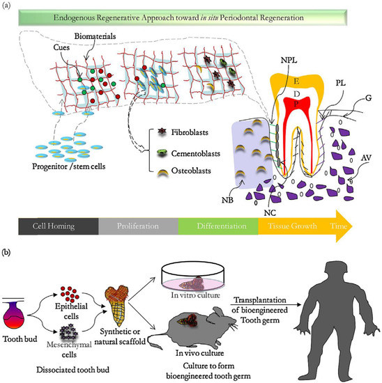 Nanomaterials 11 02800 g001 550