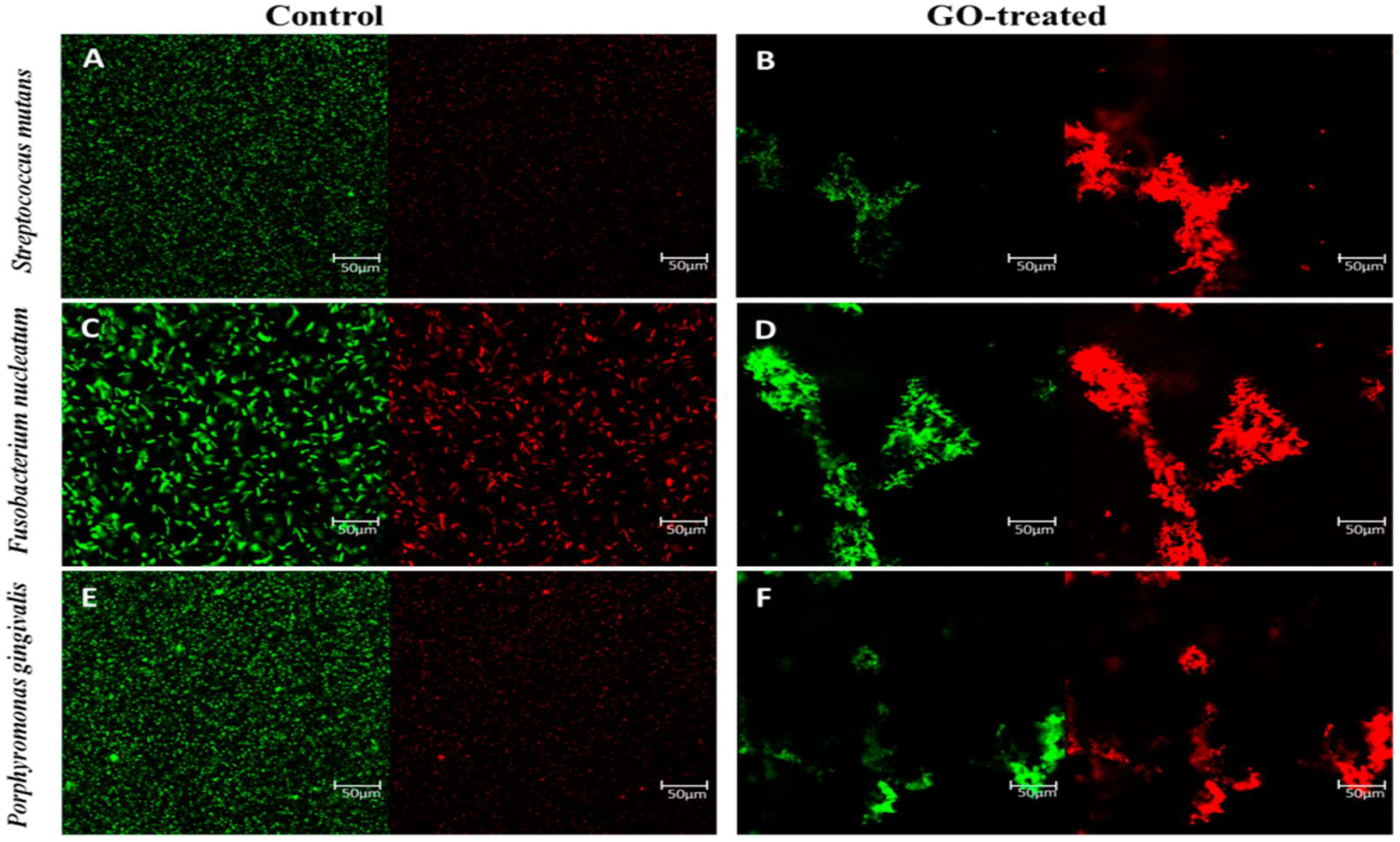 Nanomaterials 11 02800 g005