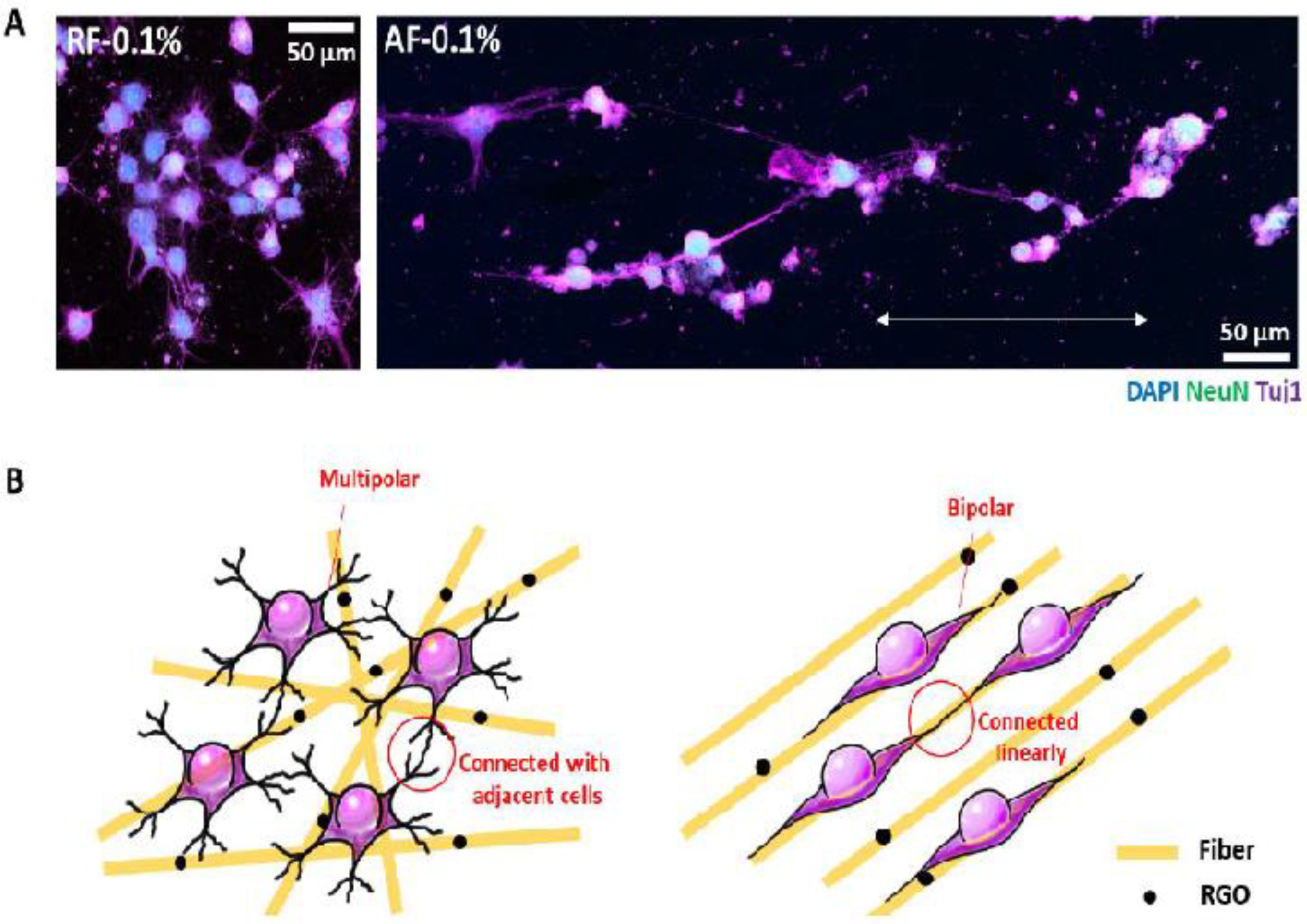 Nanomaterials 11 02800 g007