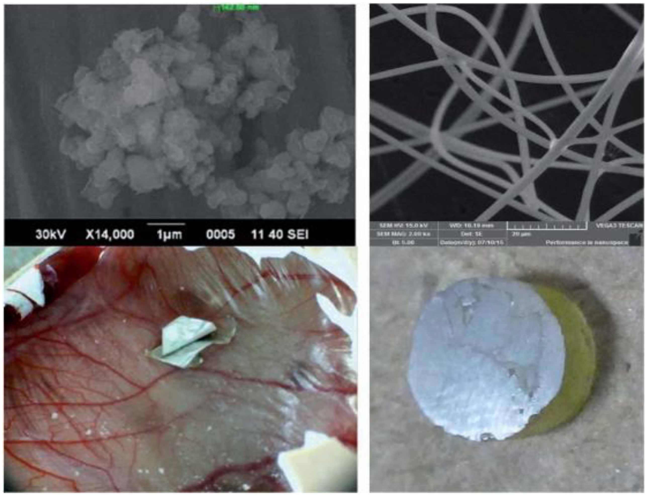 Nanomaterials 11 02800 g009