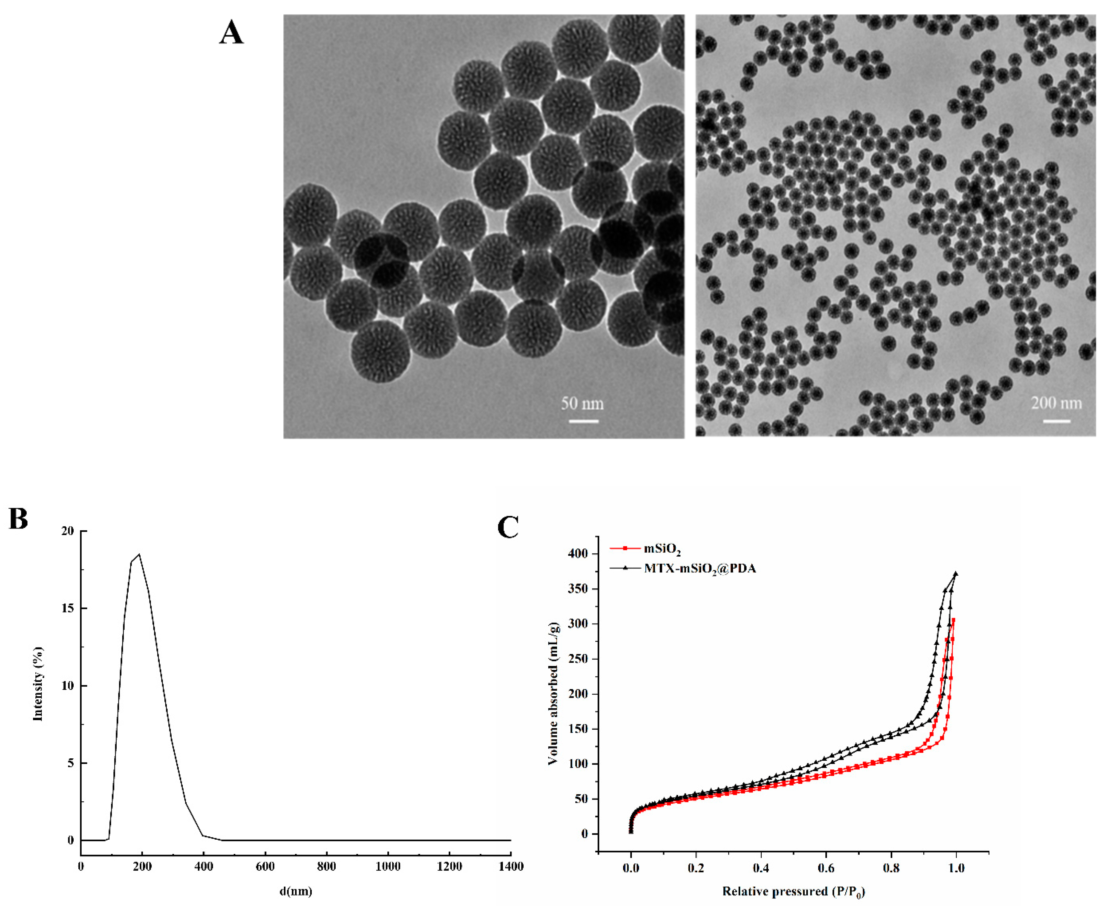 Nanomaterials 11 02812 g001a