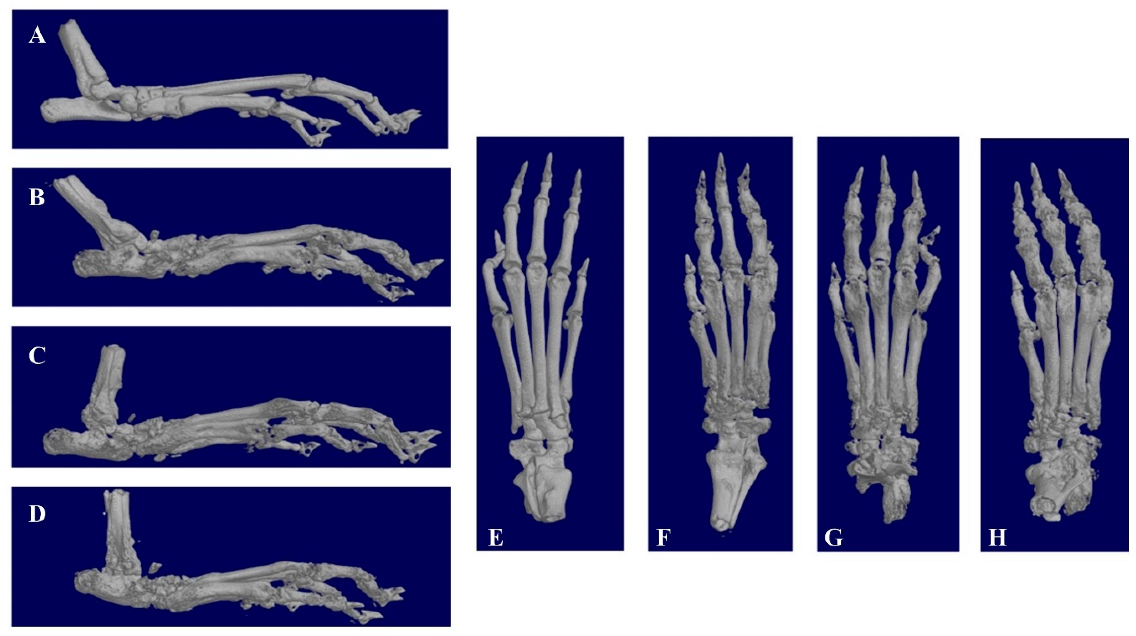 Nanomaterials 11 02812 g007