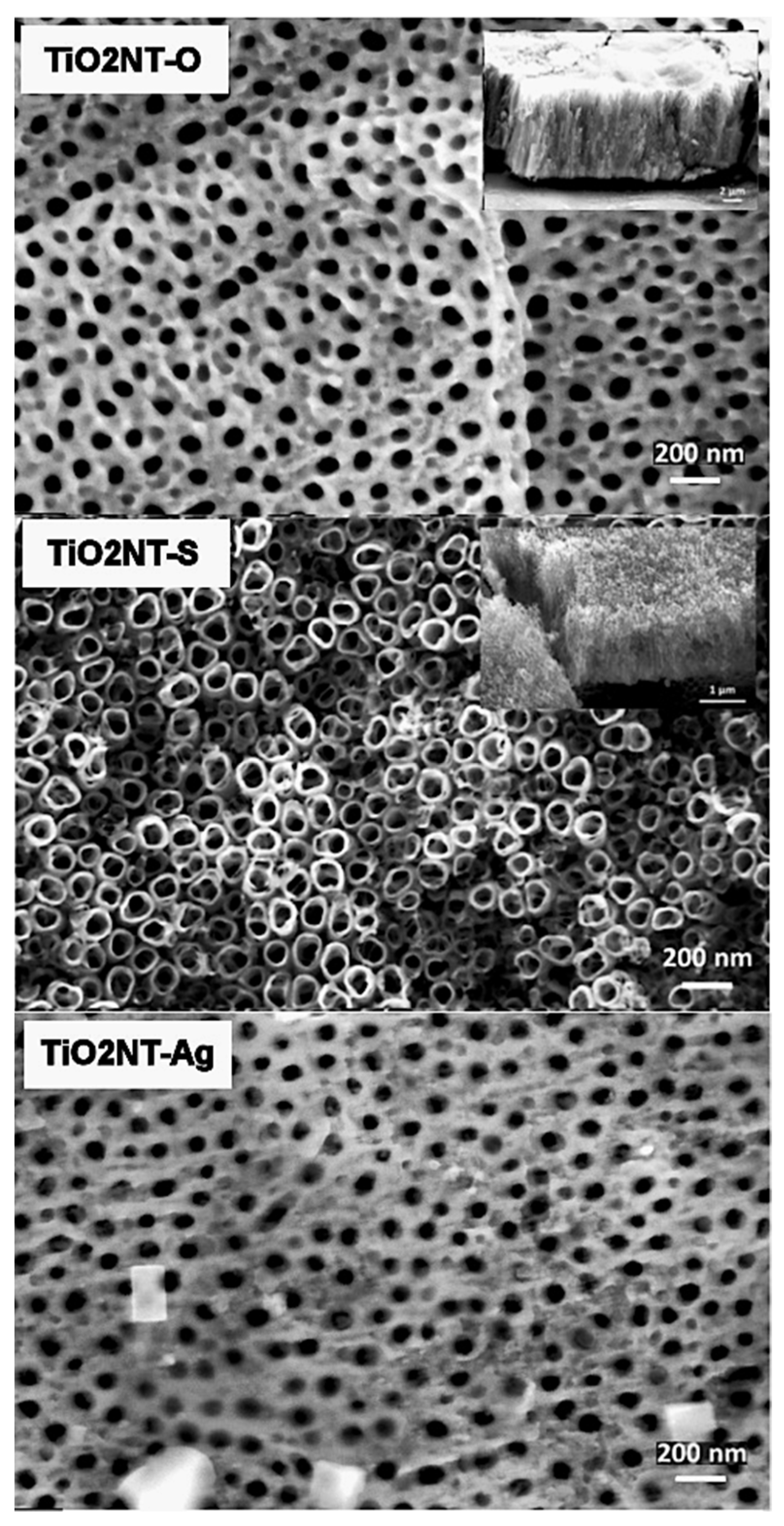 Nanomaterials 11 02823 g003