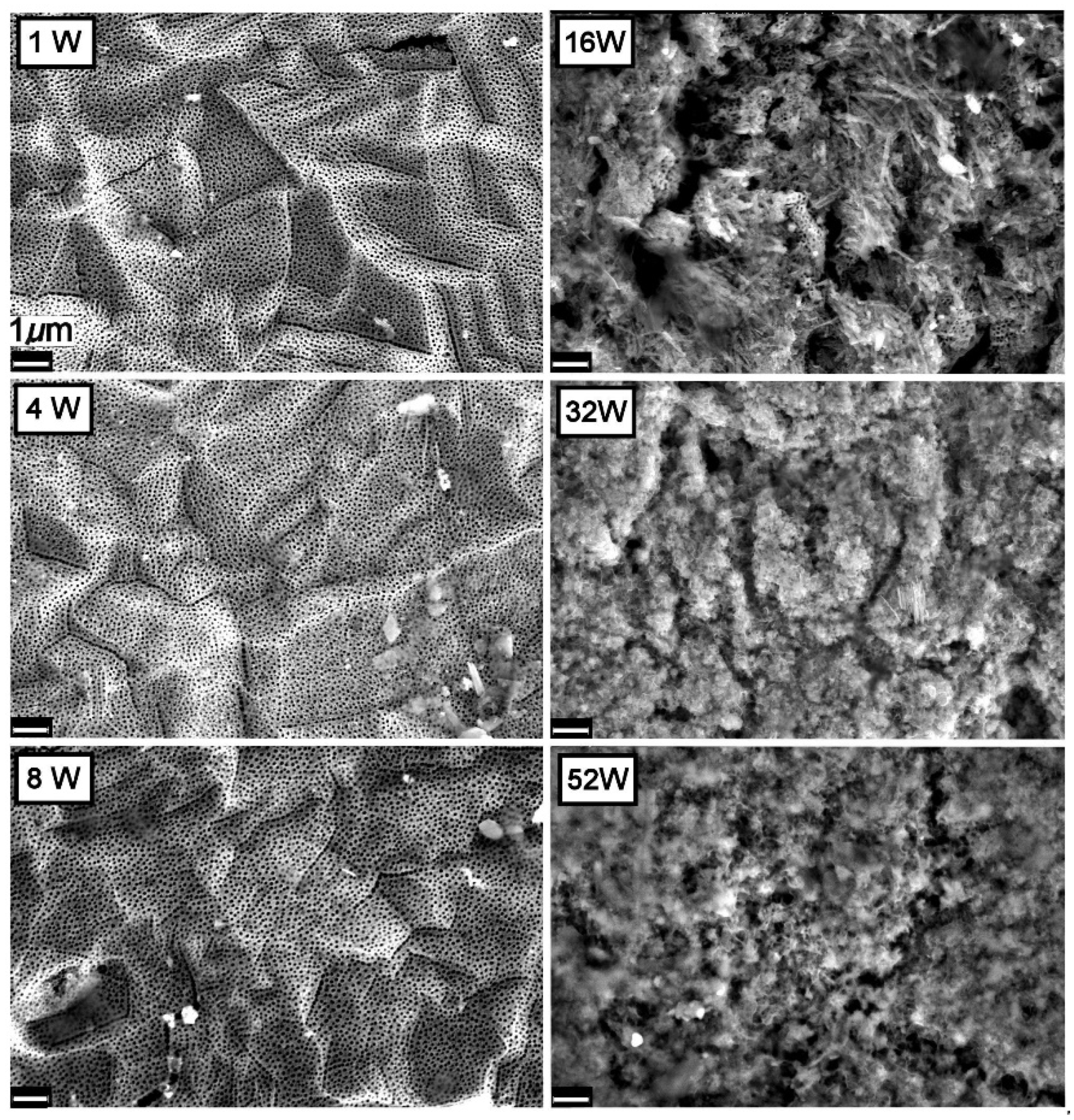 Nanomaterials 11 02823 g005