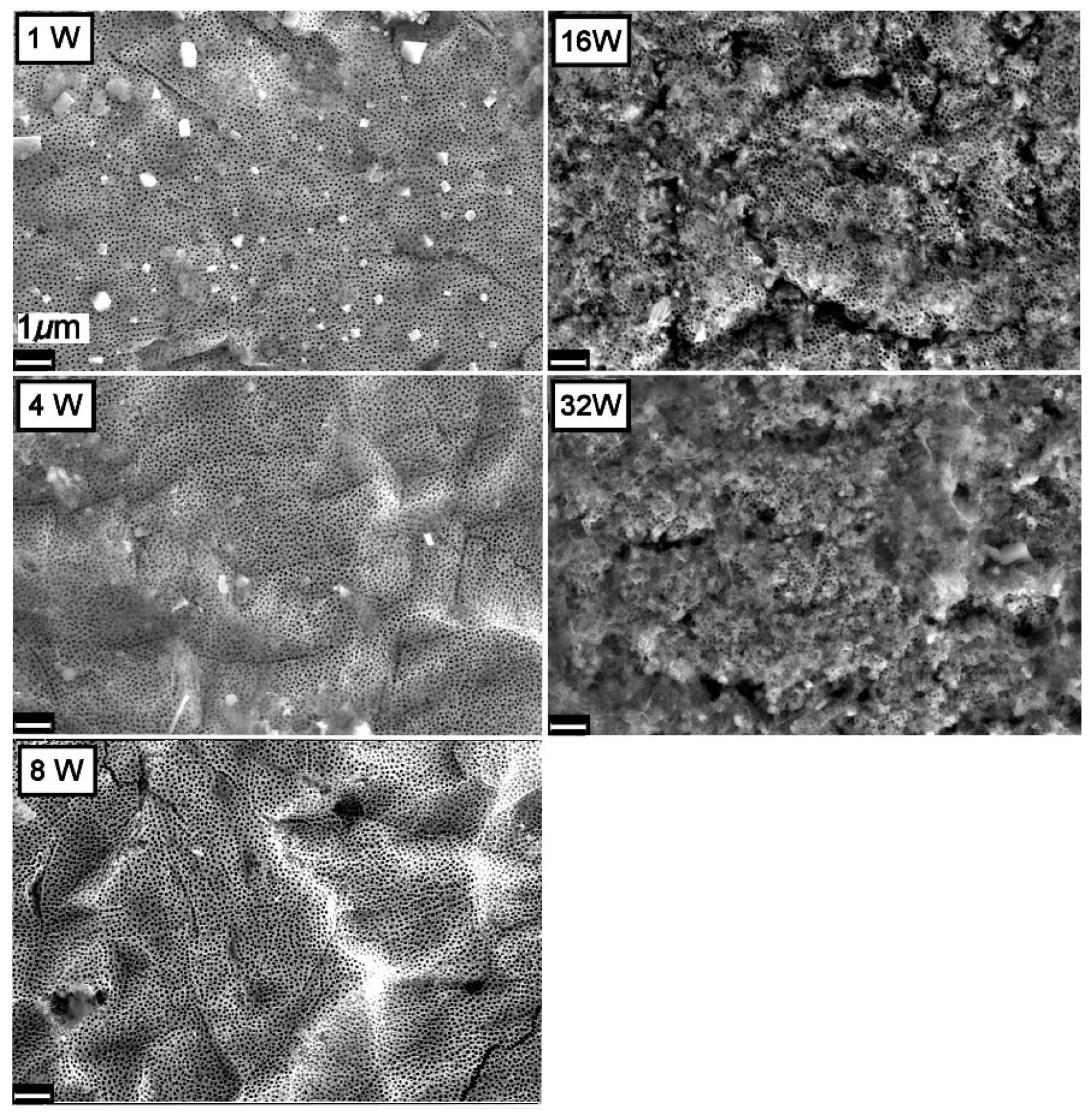 Nanomaterials 11 02823 g006