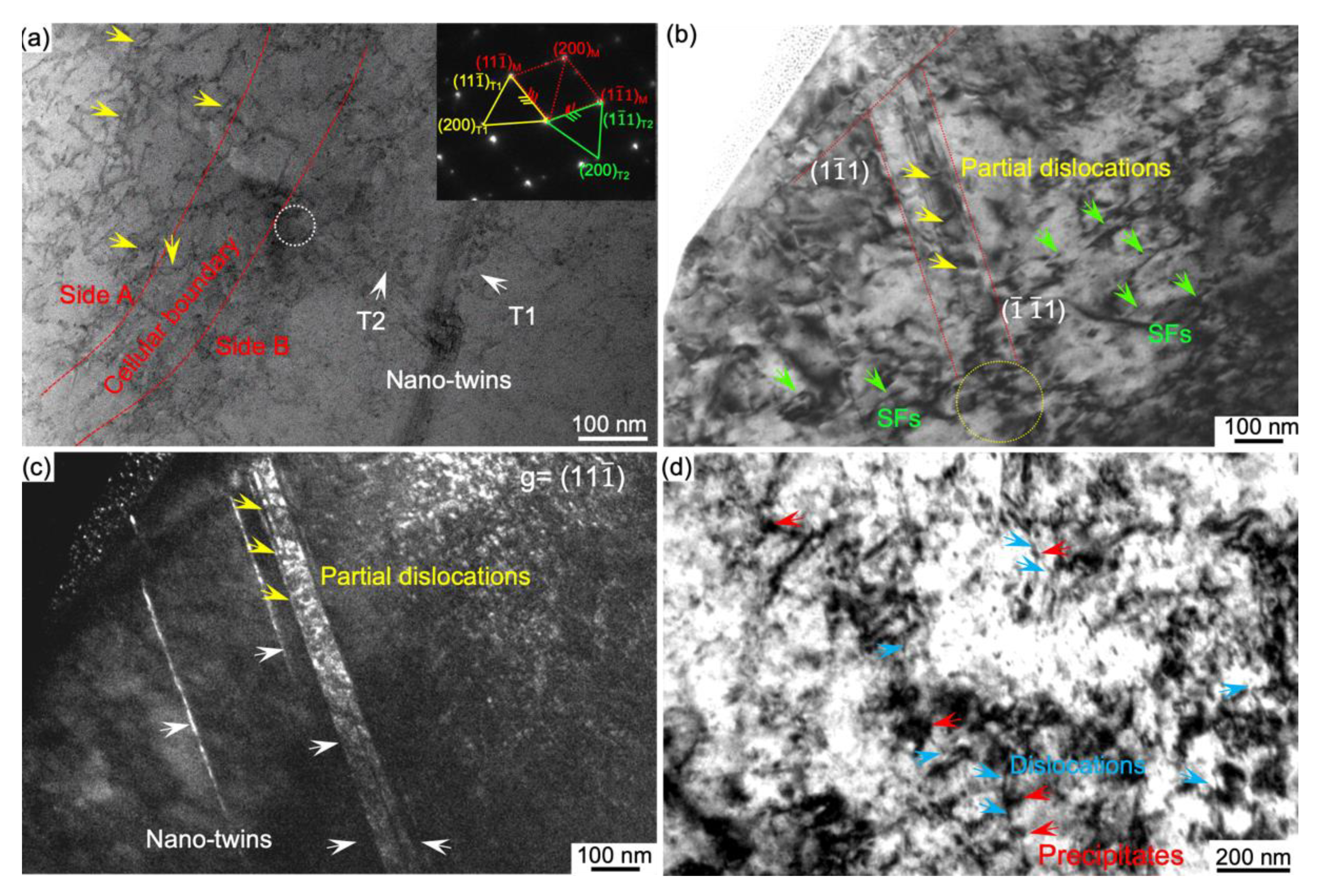 Nanomaterials 11 02859 g006
