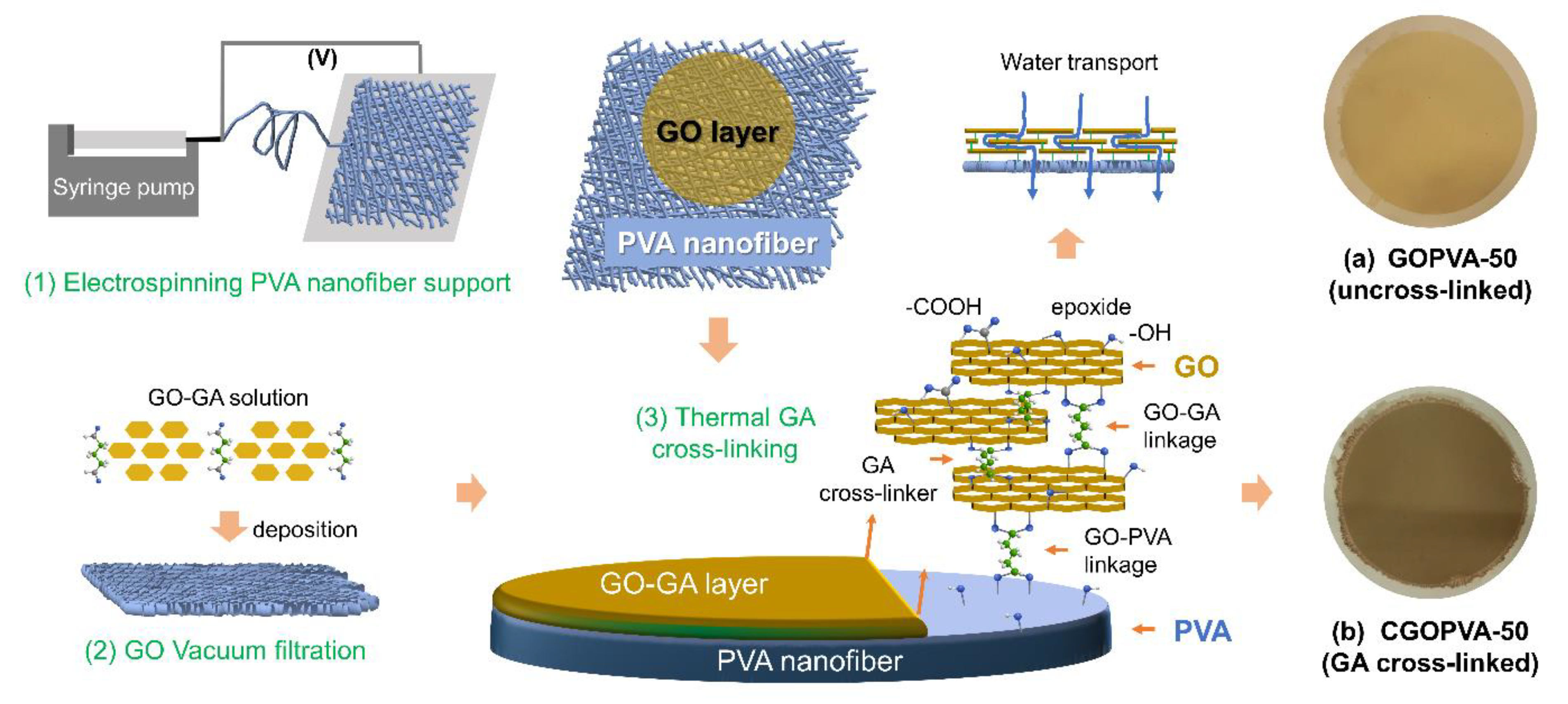 Nanomaterials 11 02867 g001