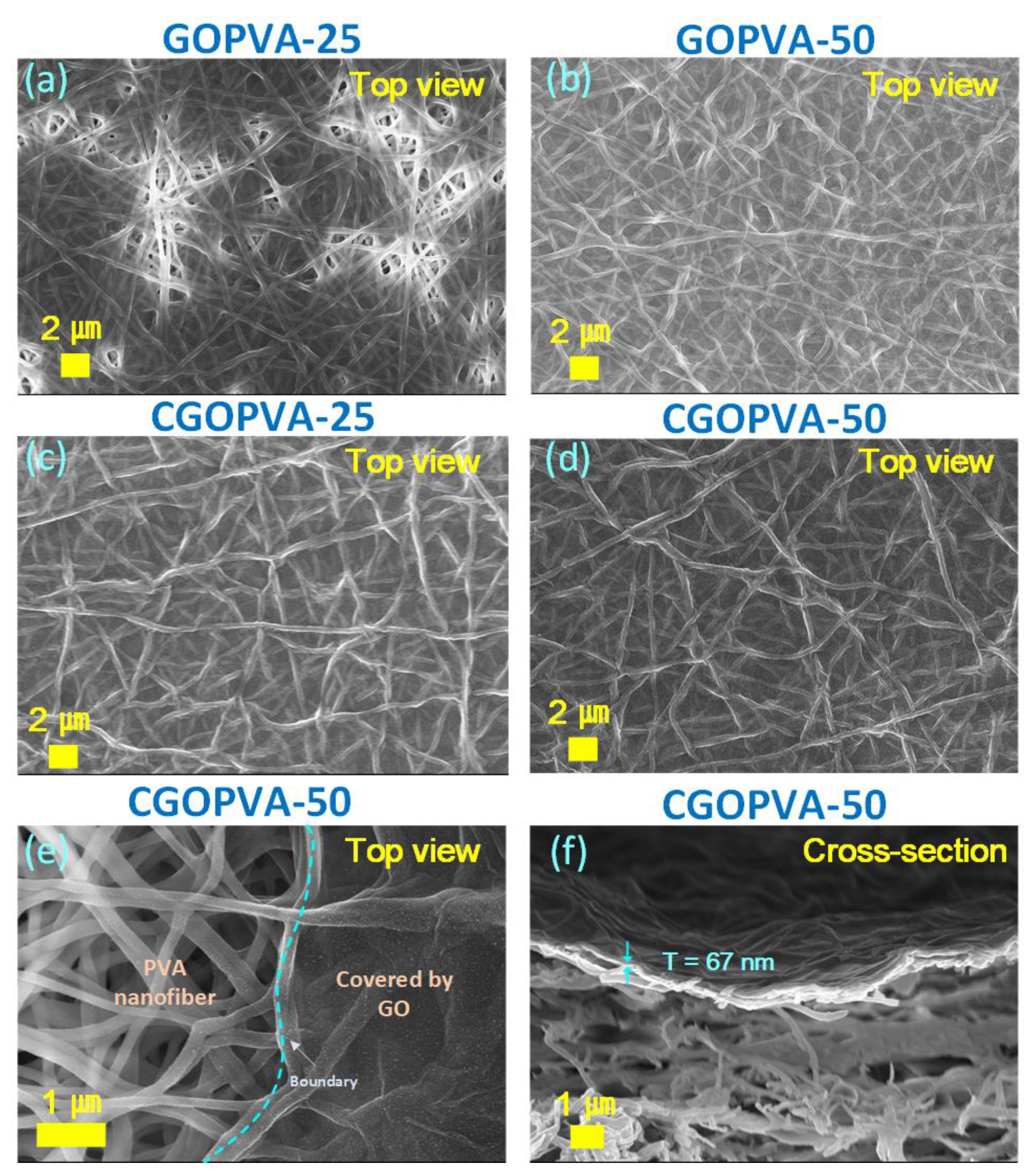 Nanomaterials 11 02867 g004