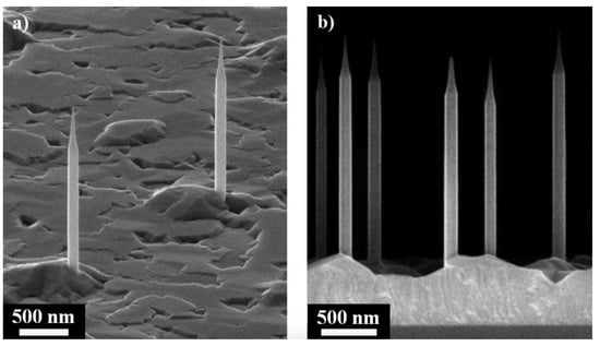 Nanomaterials 11 02894 g001a Nanomaterials 11 02894 g001a