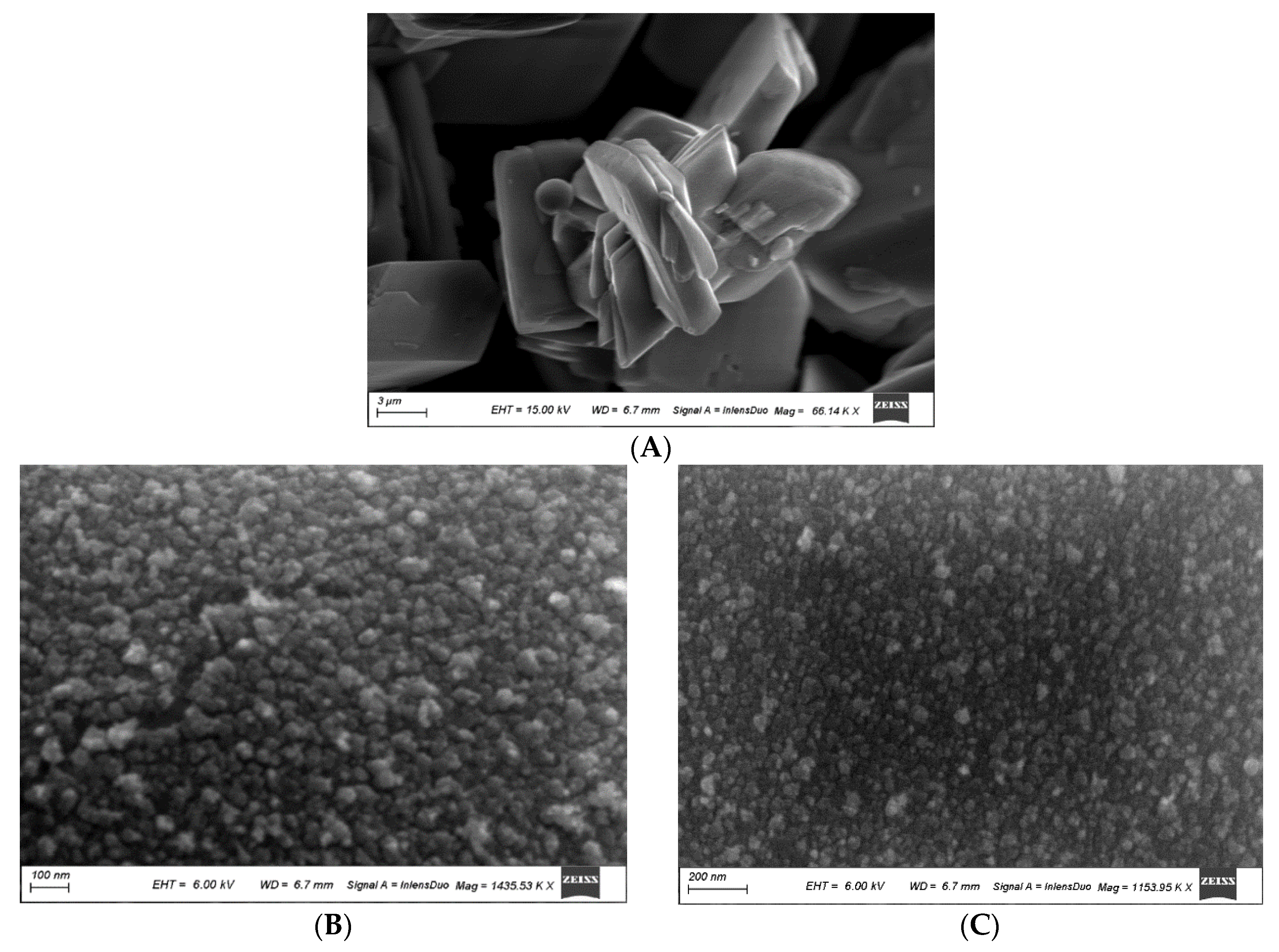 Nanomaterials 11 02913 g002