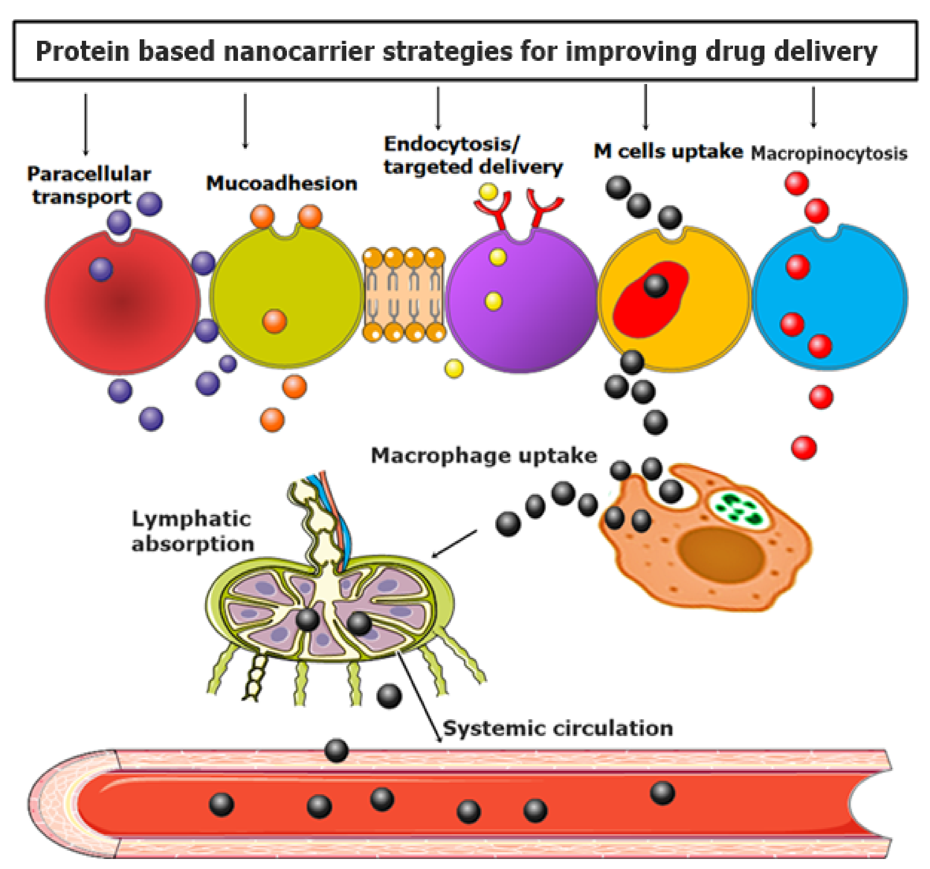 Nanomaterials 11 03002 g006