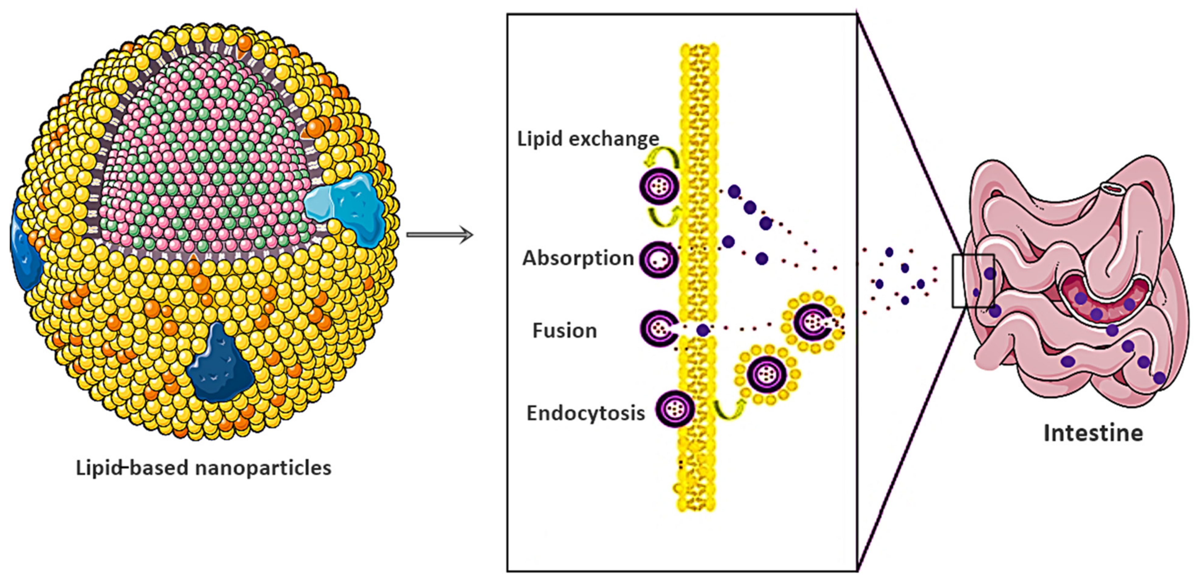 Nanomaterials 11 03002 g007