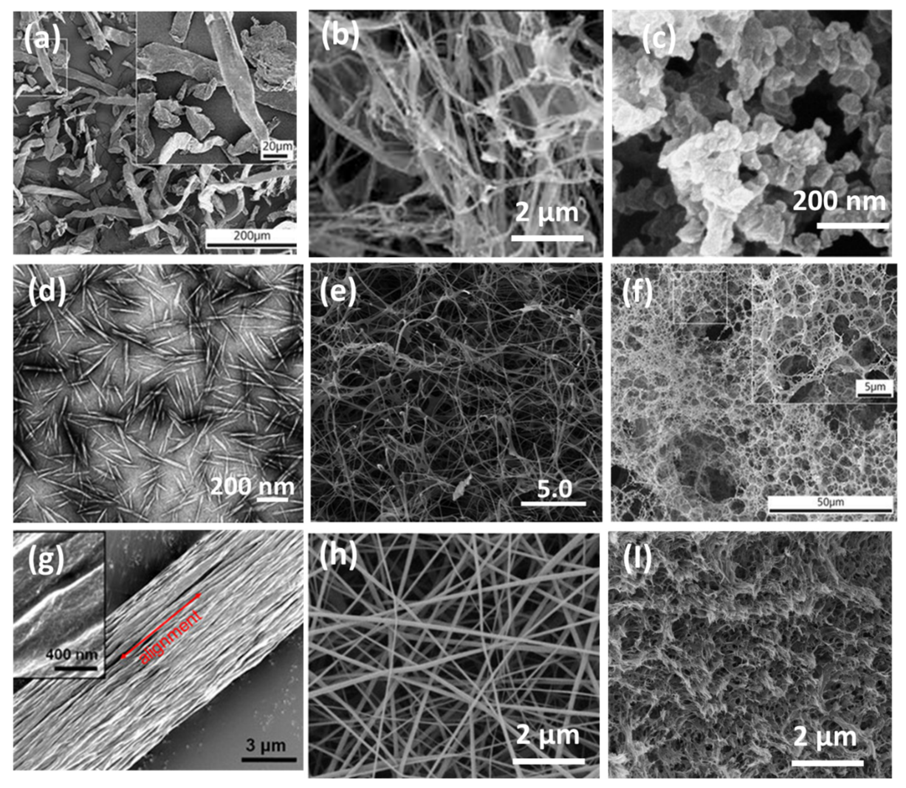 Nanomaterials 11 03008 g001