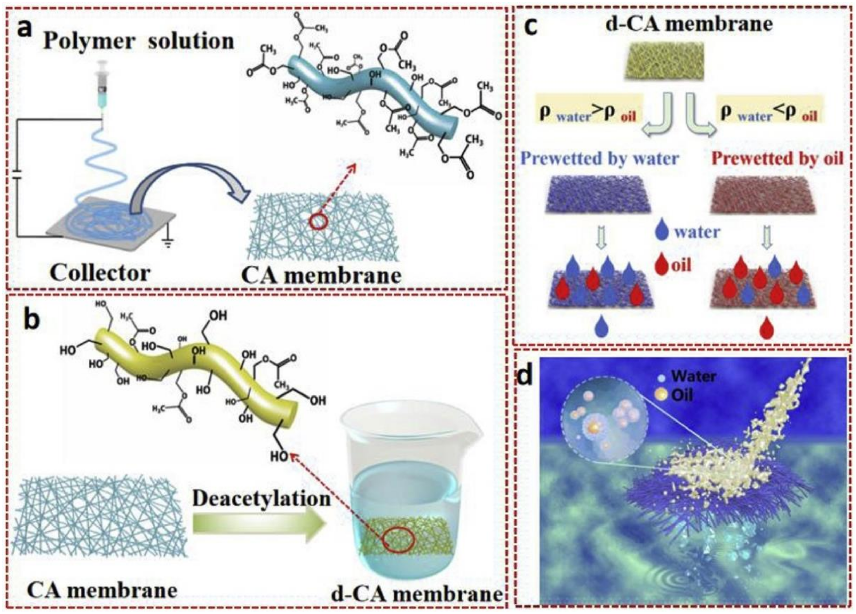 Nanomaterials 11 03008 g006