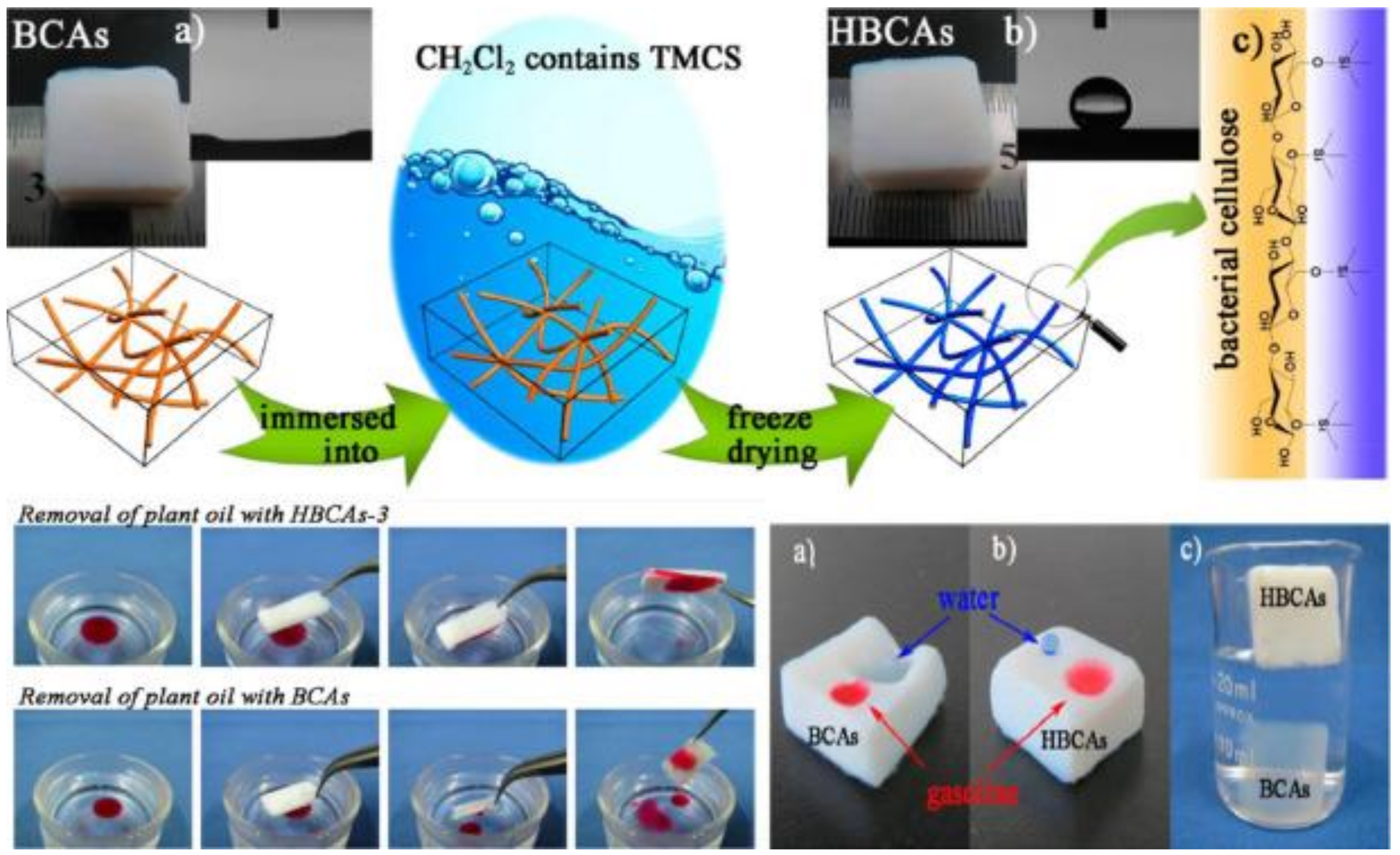 Nanomaterials 11 03008 g007