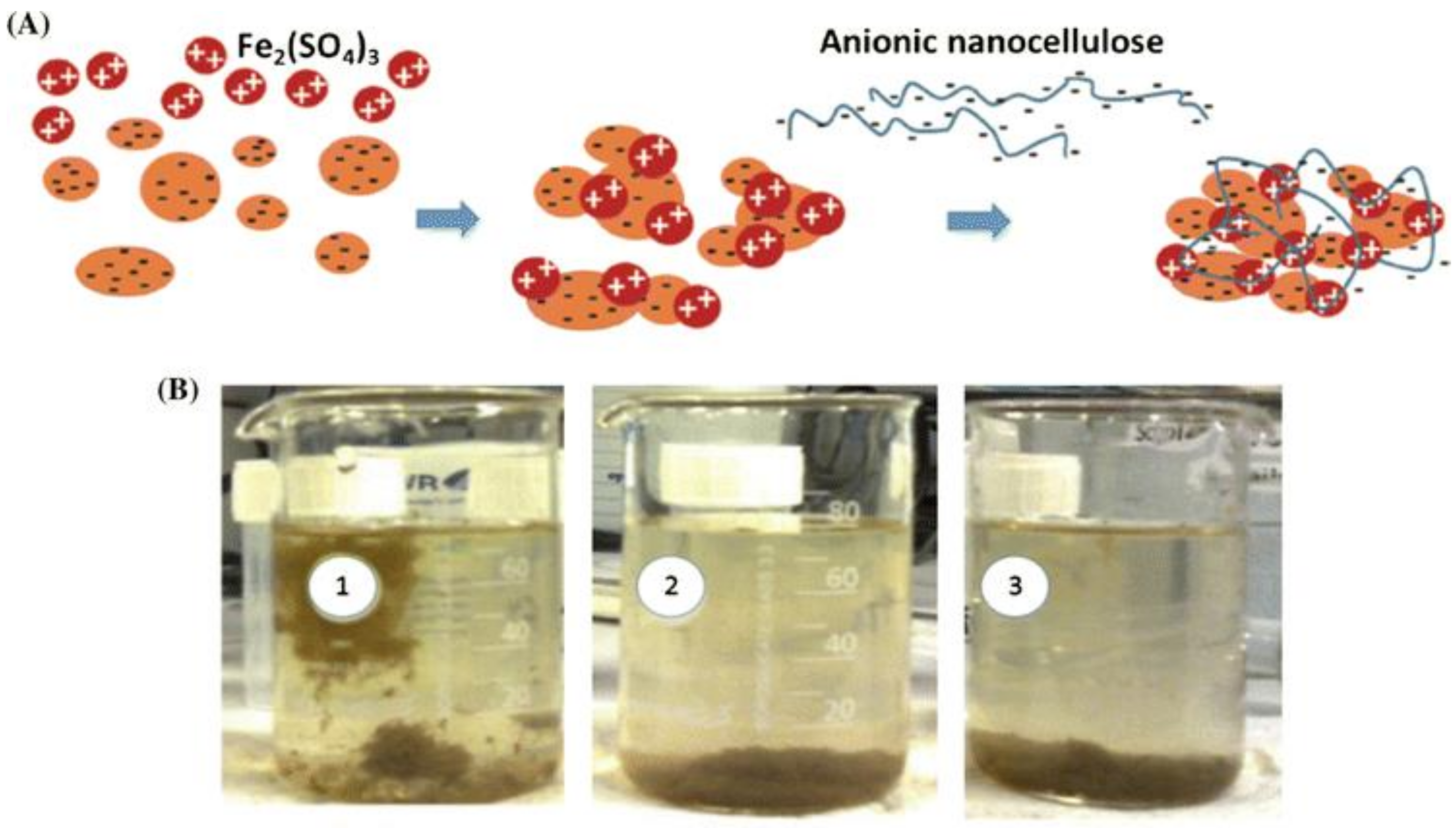 Nanomaterials 11 03008 g008