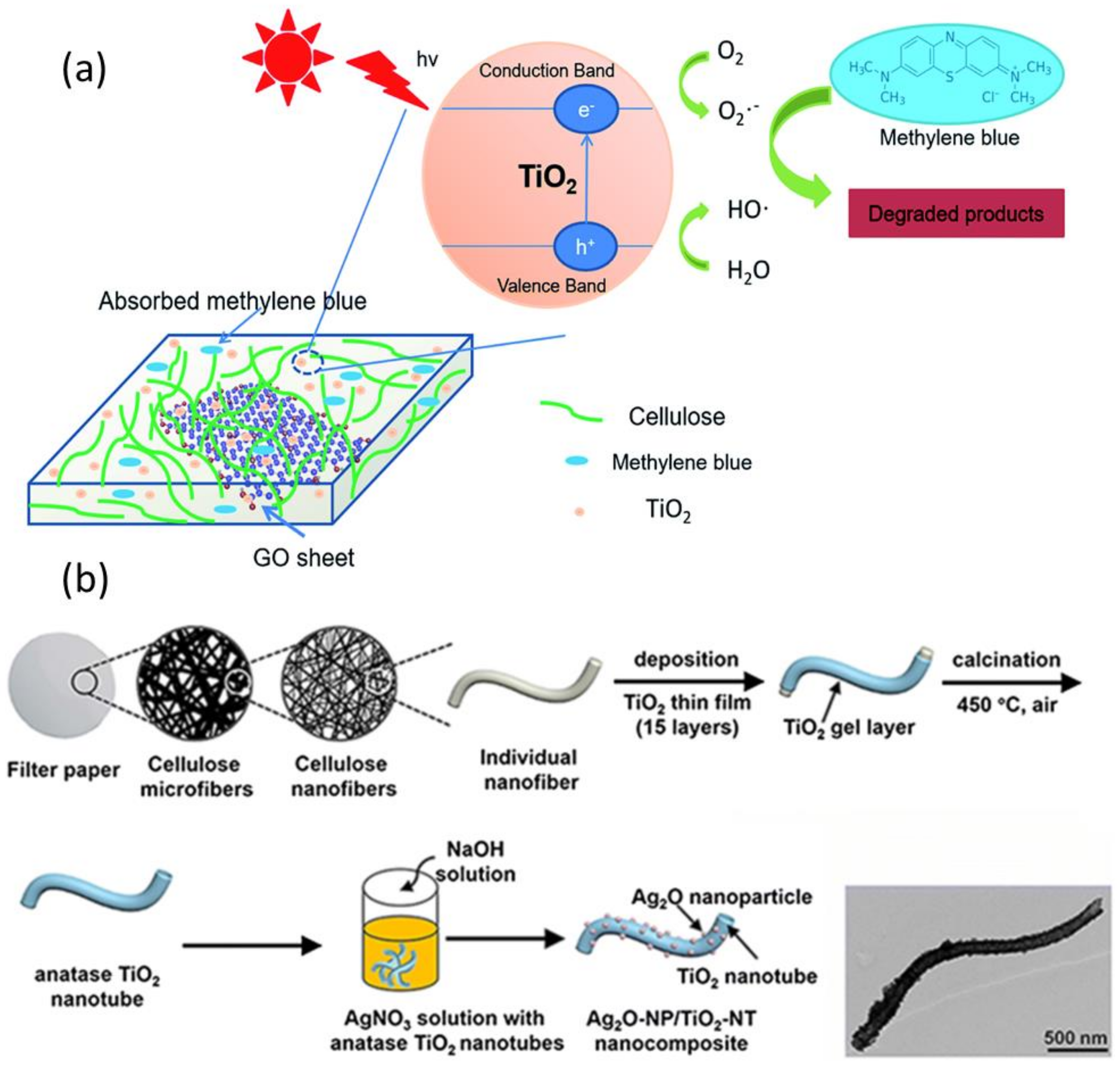 Nanomaterials 11 03008 g009