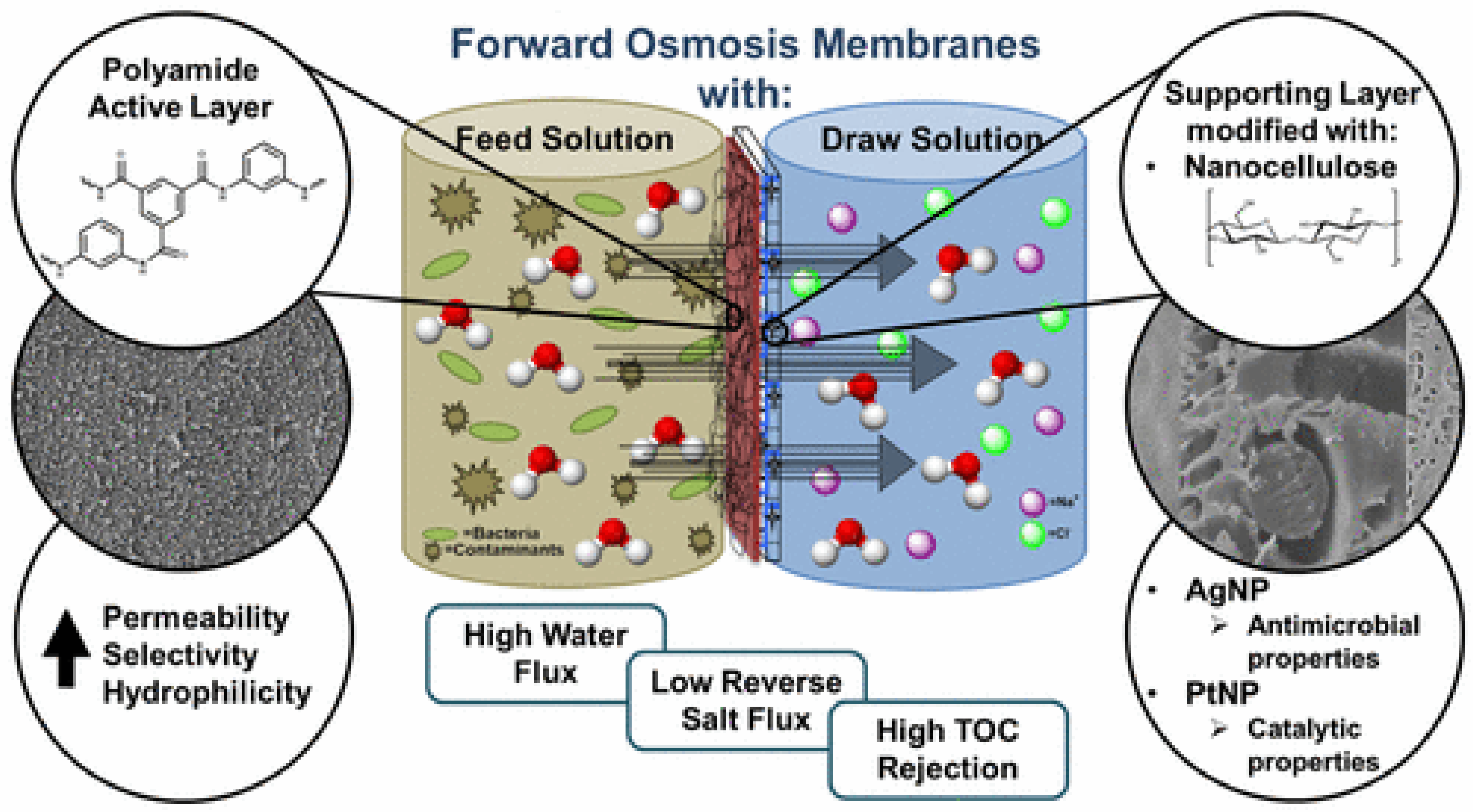 Nanomaterials 11 03008 g010