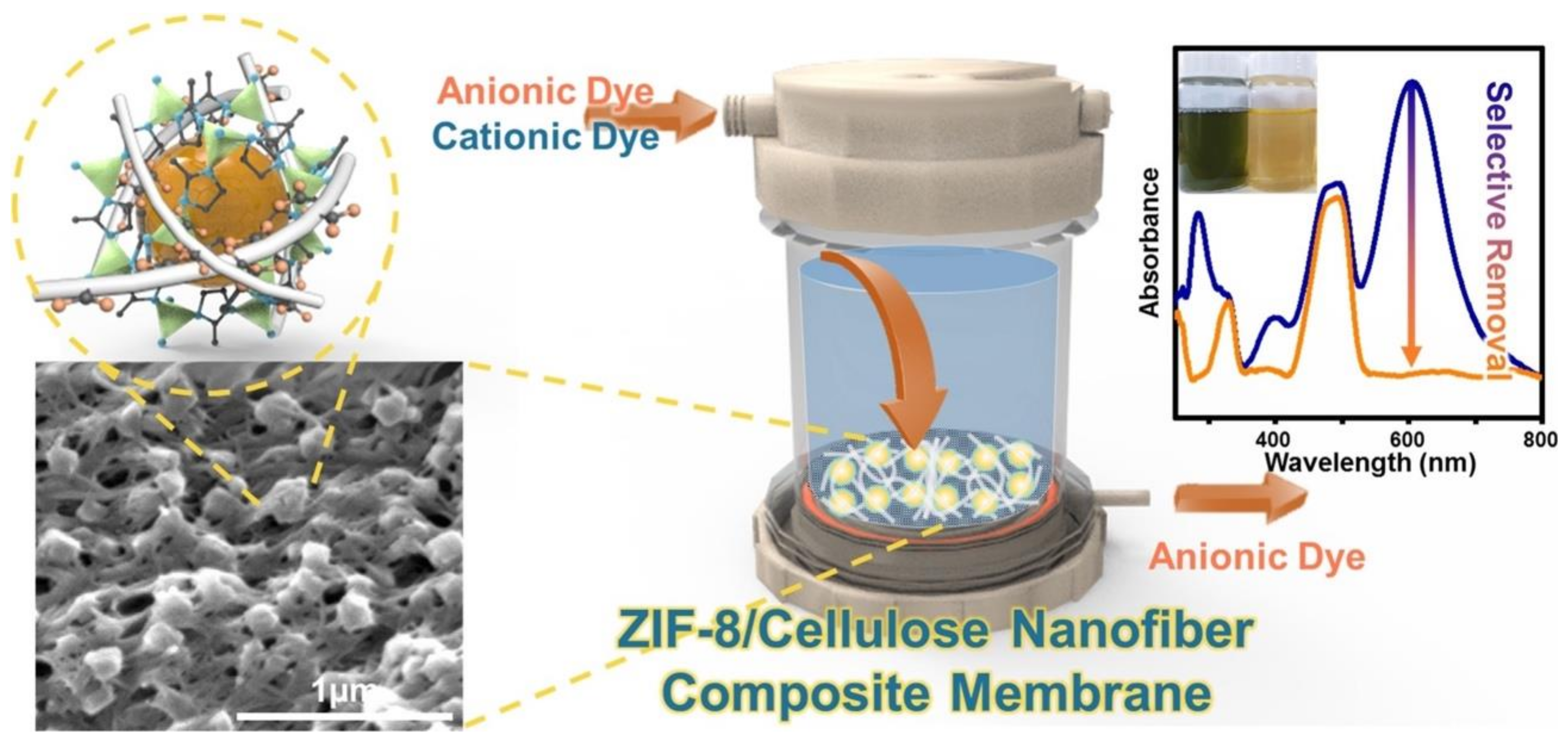 Nanomaterials 11 03008 g012