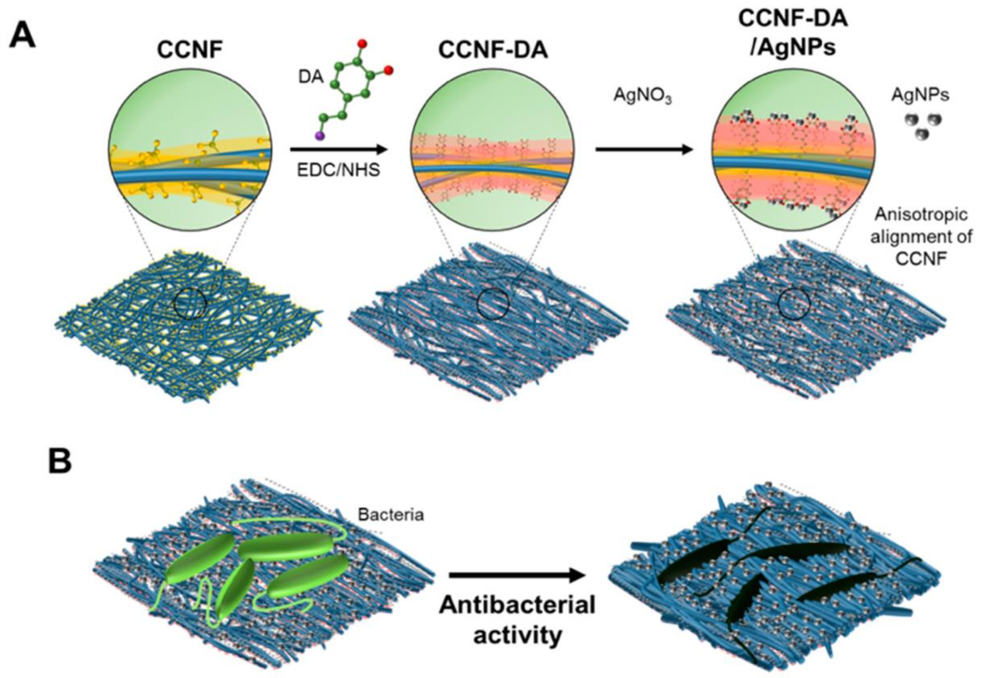 Nanomaterials 11 03008 g013