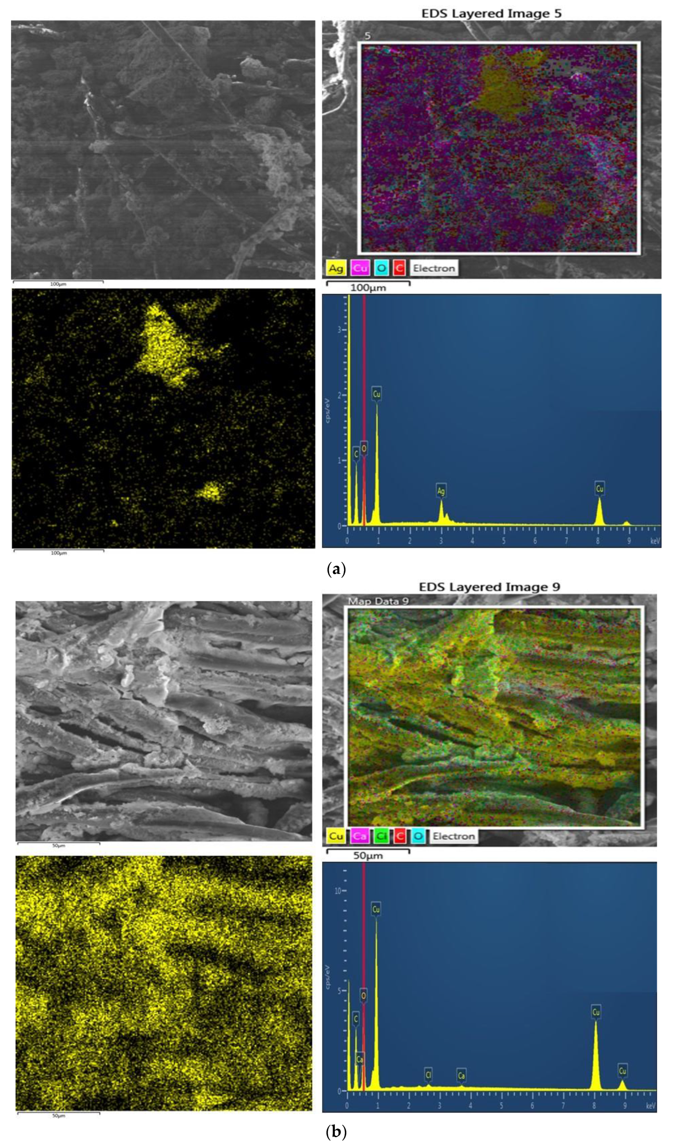 Nanomaterials 11 03097 g011