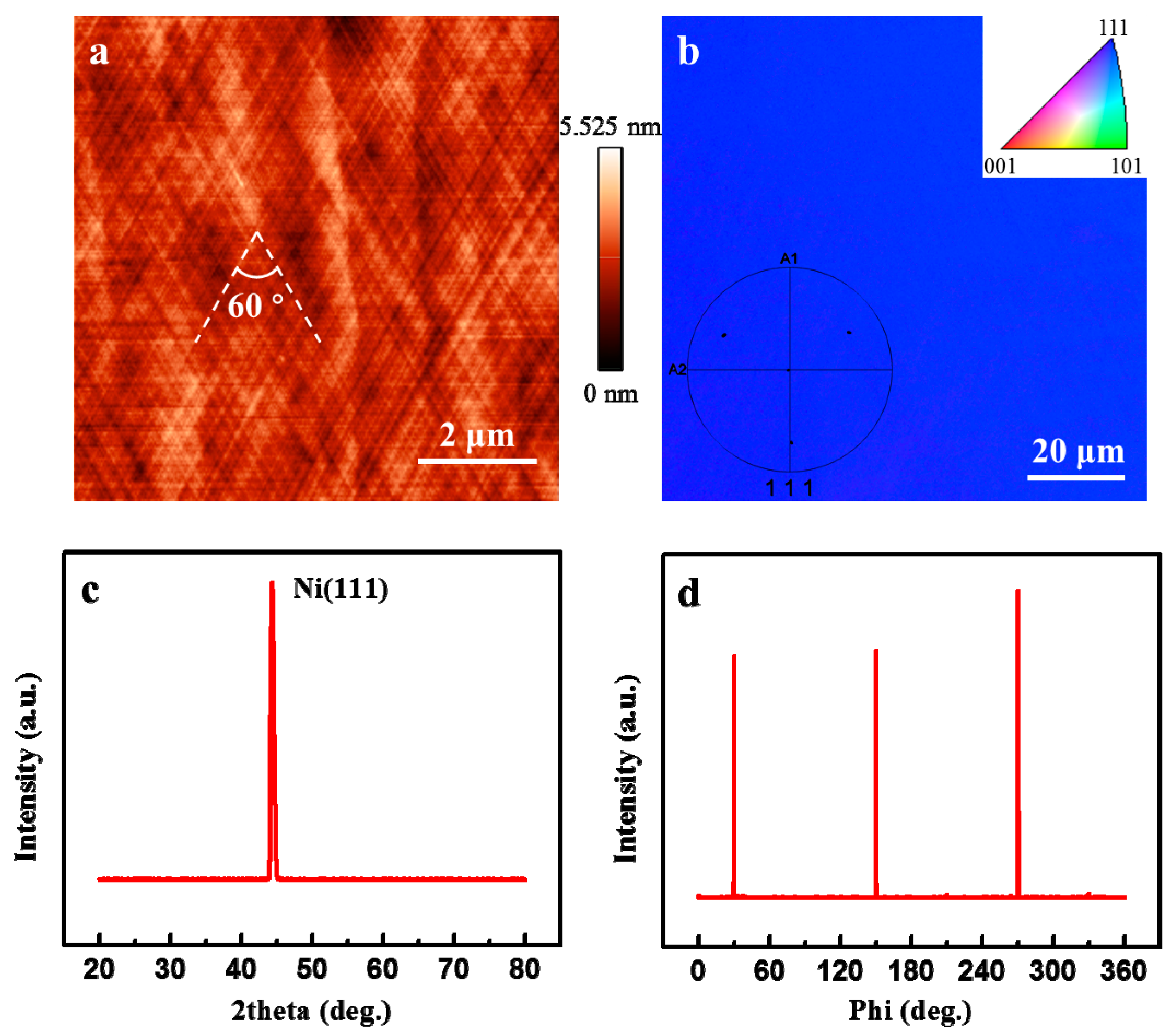 Nanomaterials 11 03112 g001