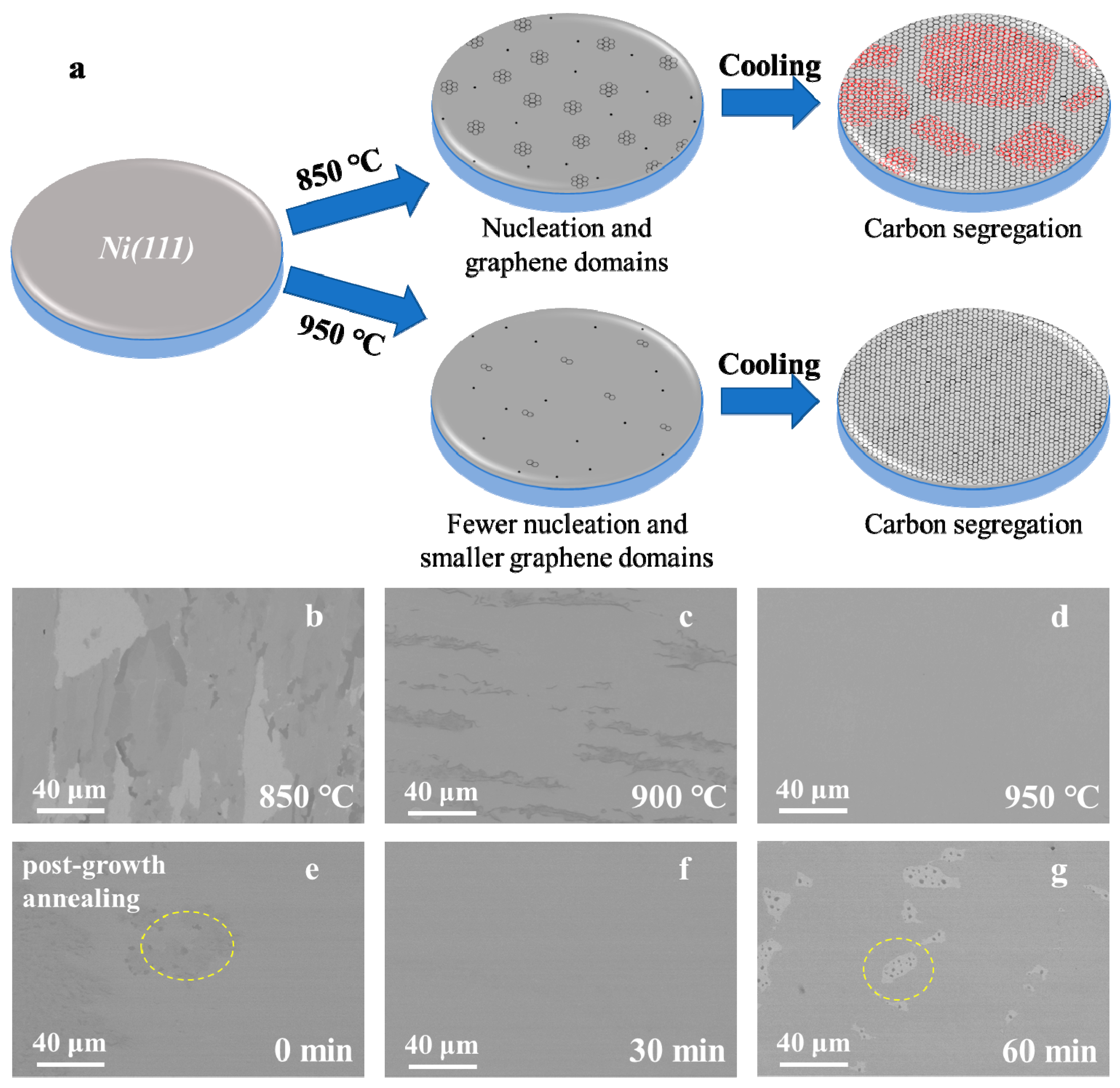 Nanomaterials 11 03112 g003