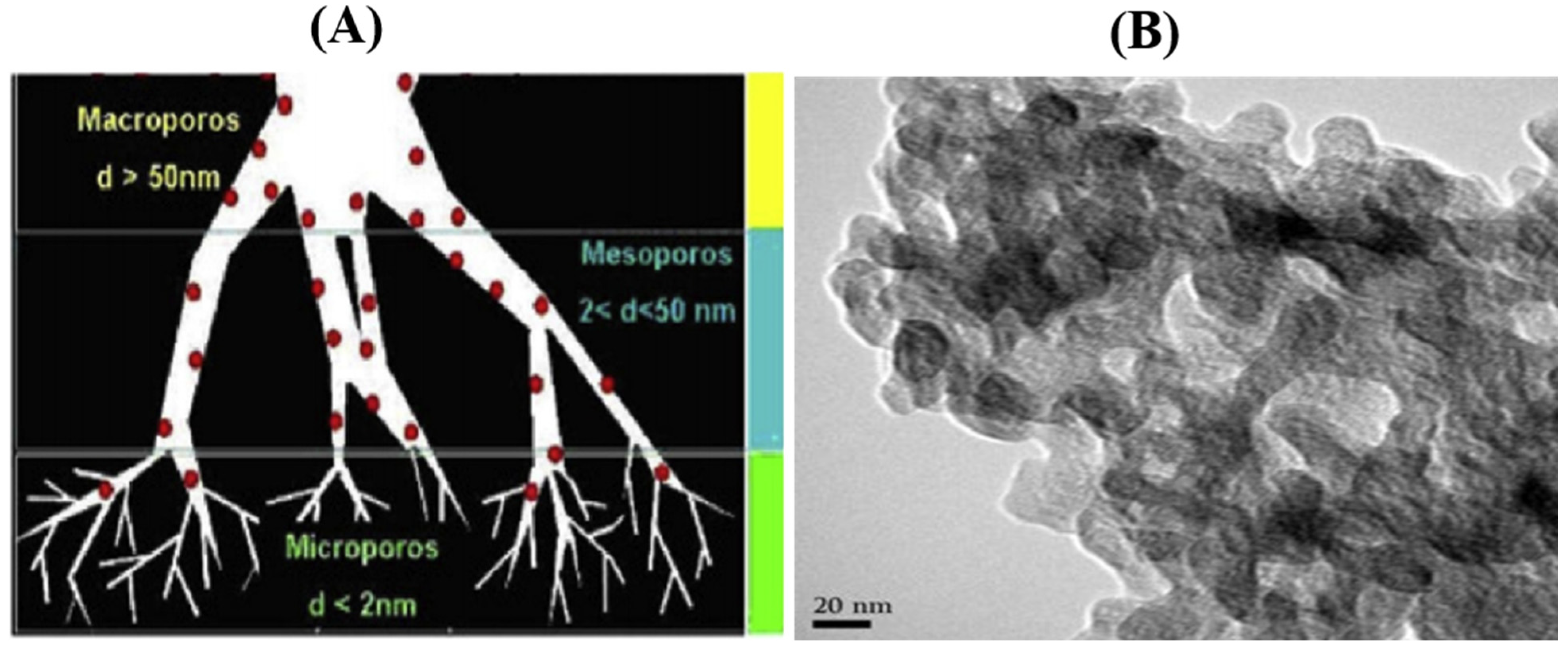 Nanomaterials 11 03140 g001