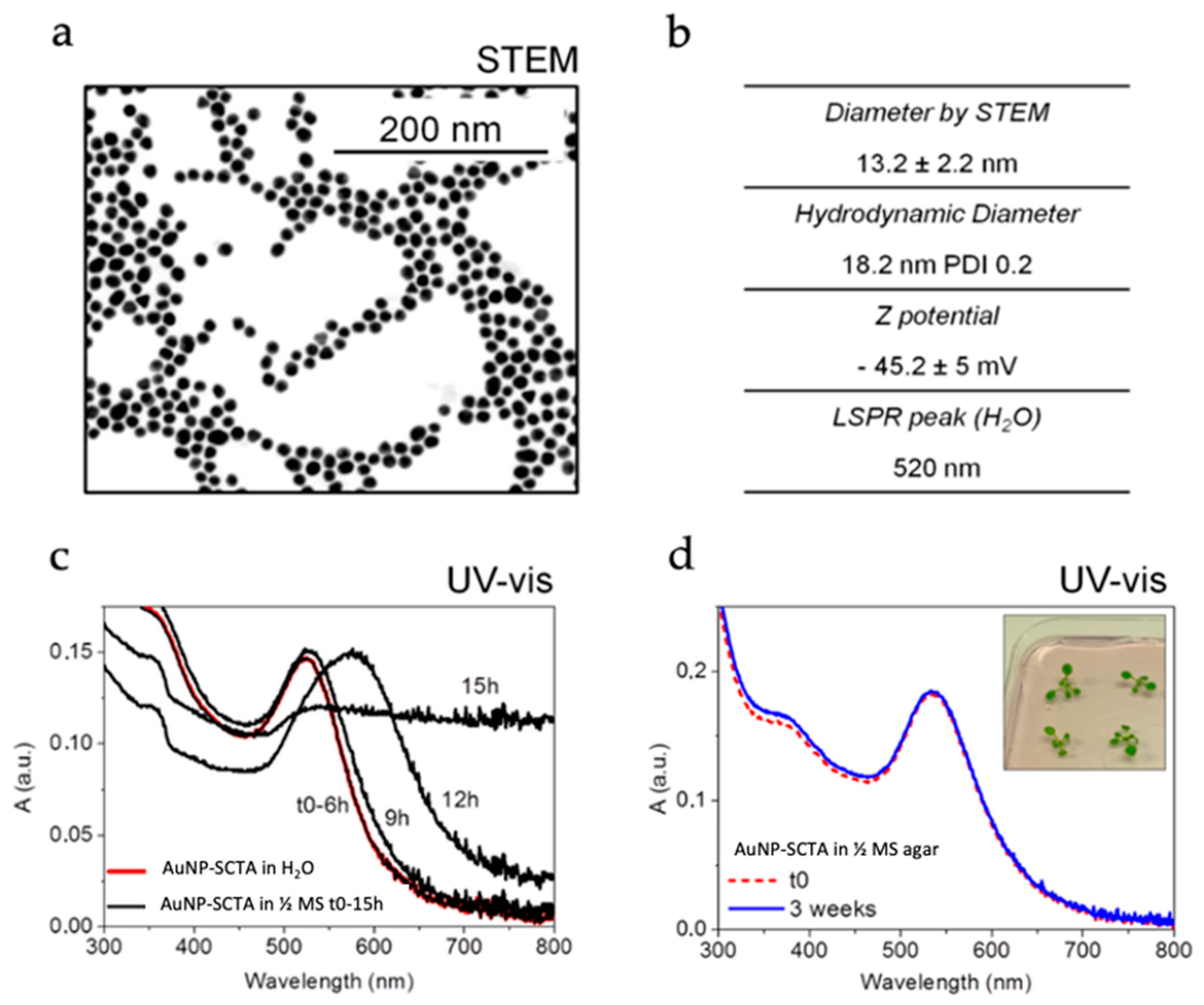 Nanomaterials 11 03161 g001