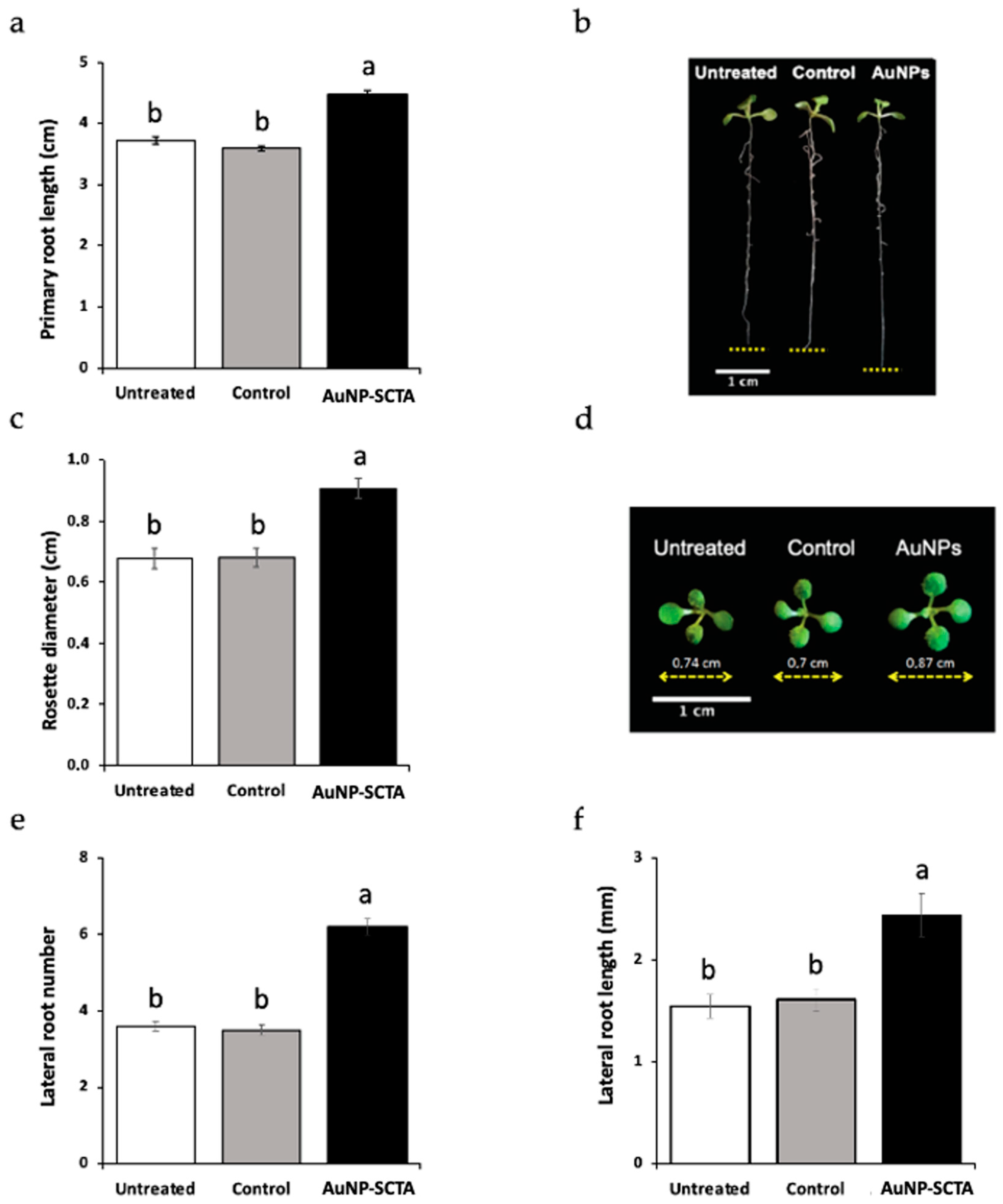 Nanomaterials 11 03161 g003