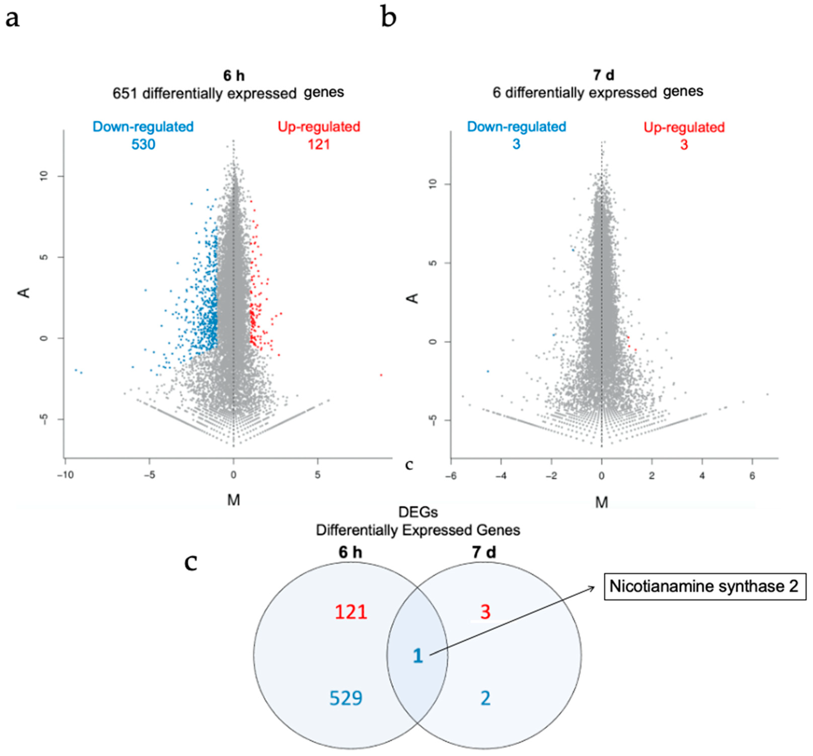 Nanomaterials 11 03161 g005