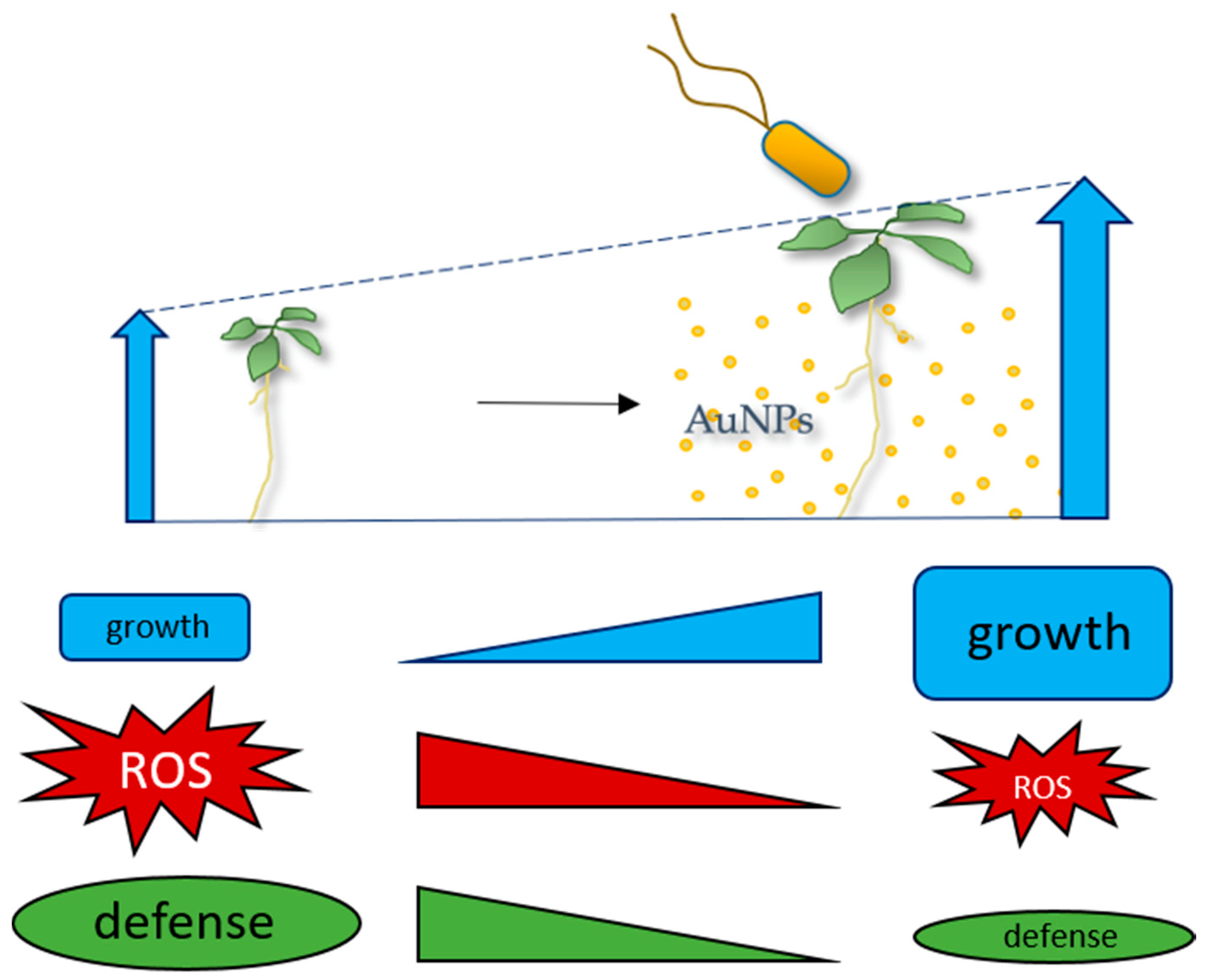 Nanomaterials 11 03161 g007