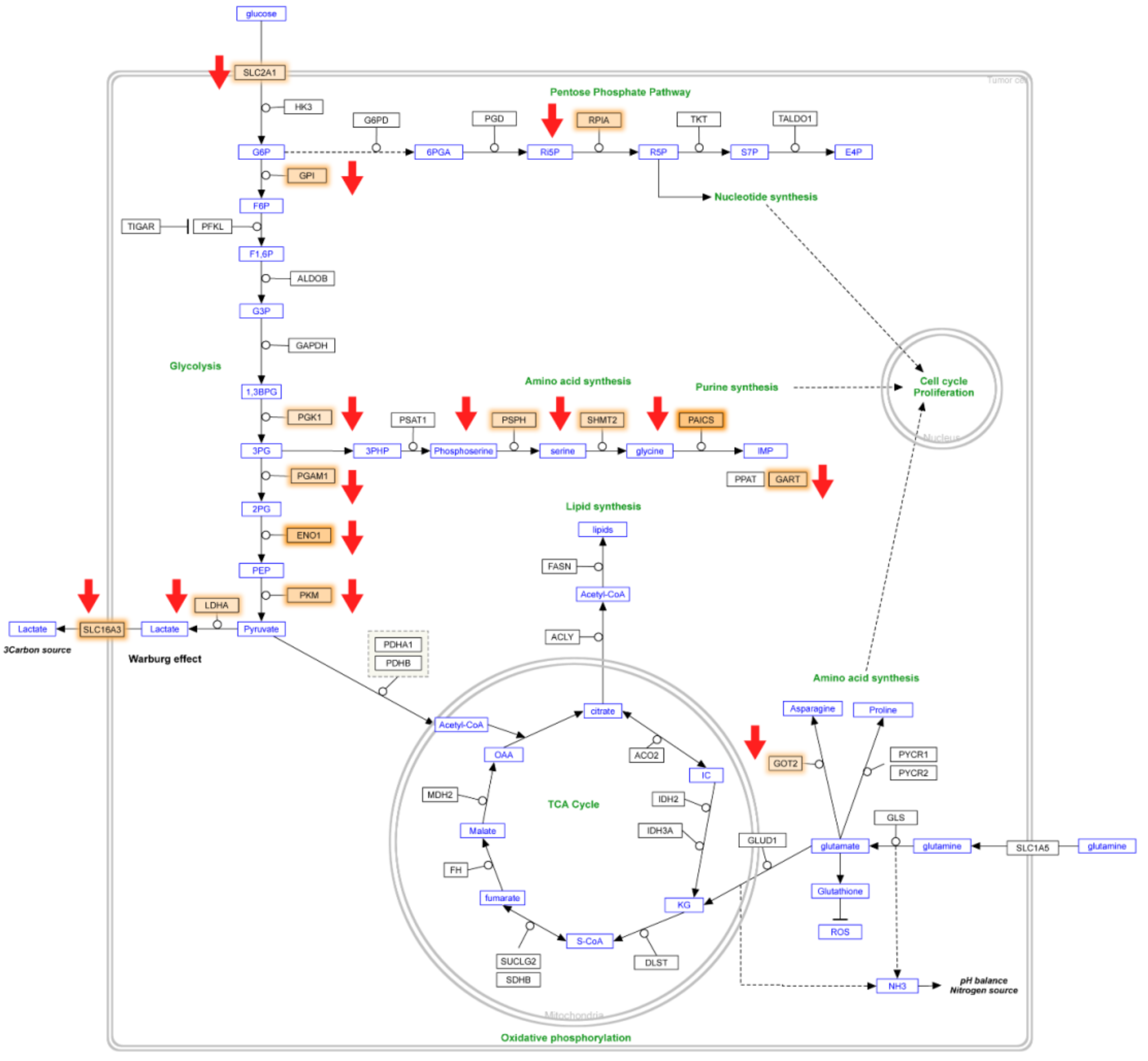 Nanomaterials 11 03163 g004