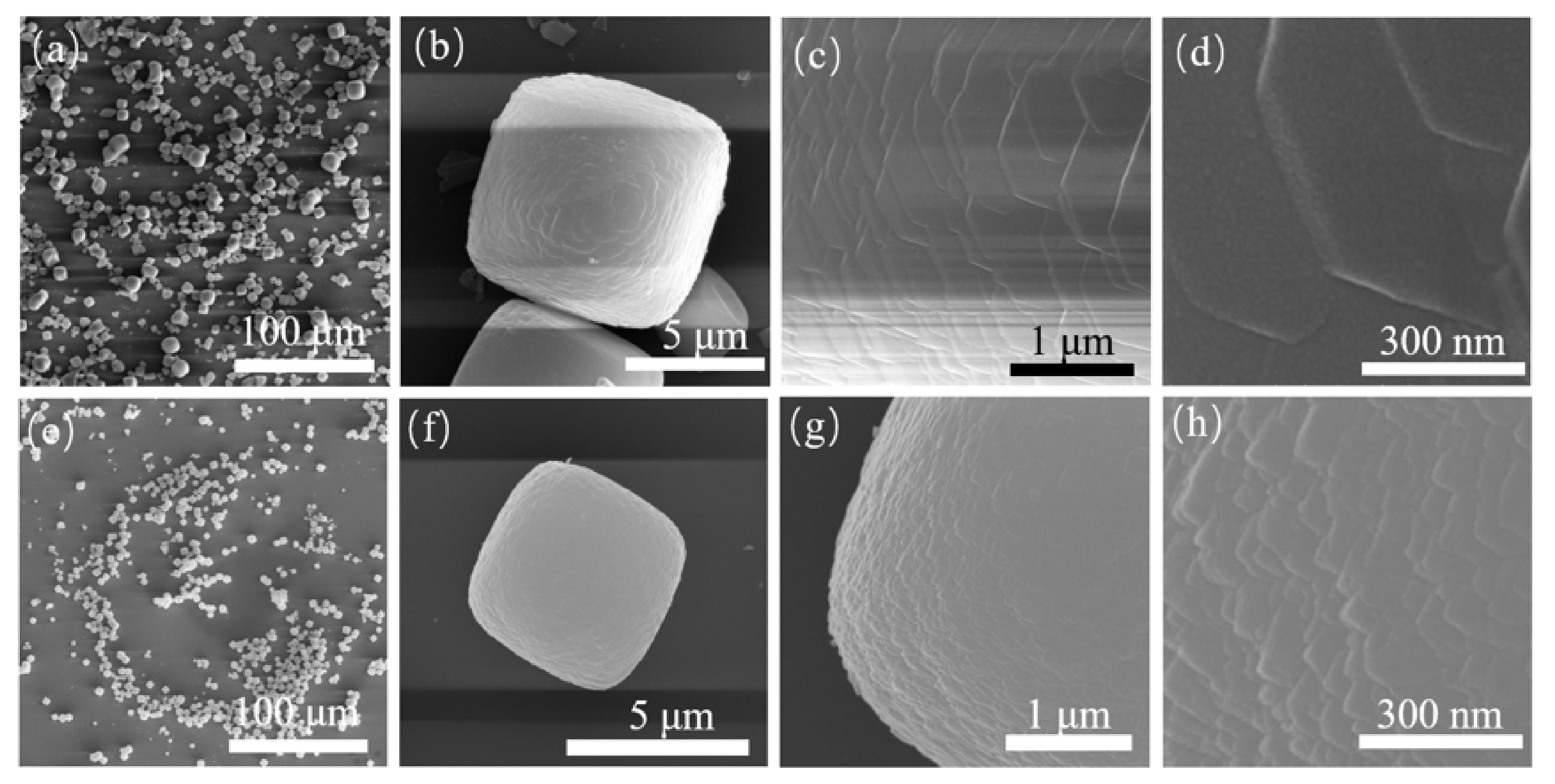 Nanomaterials 11 03171 g003