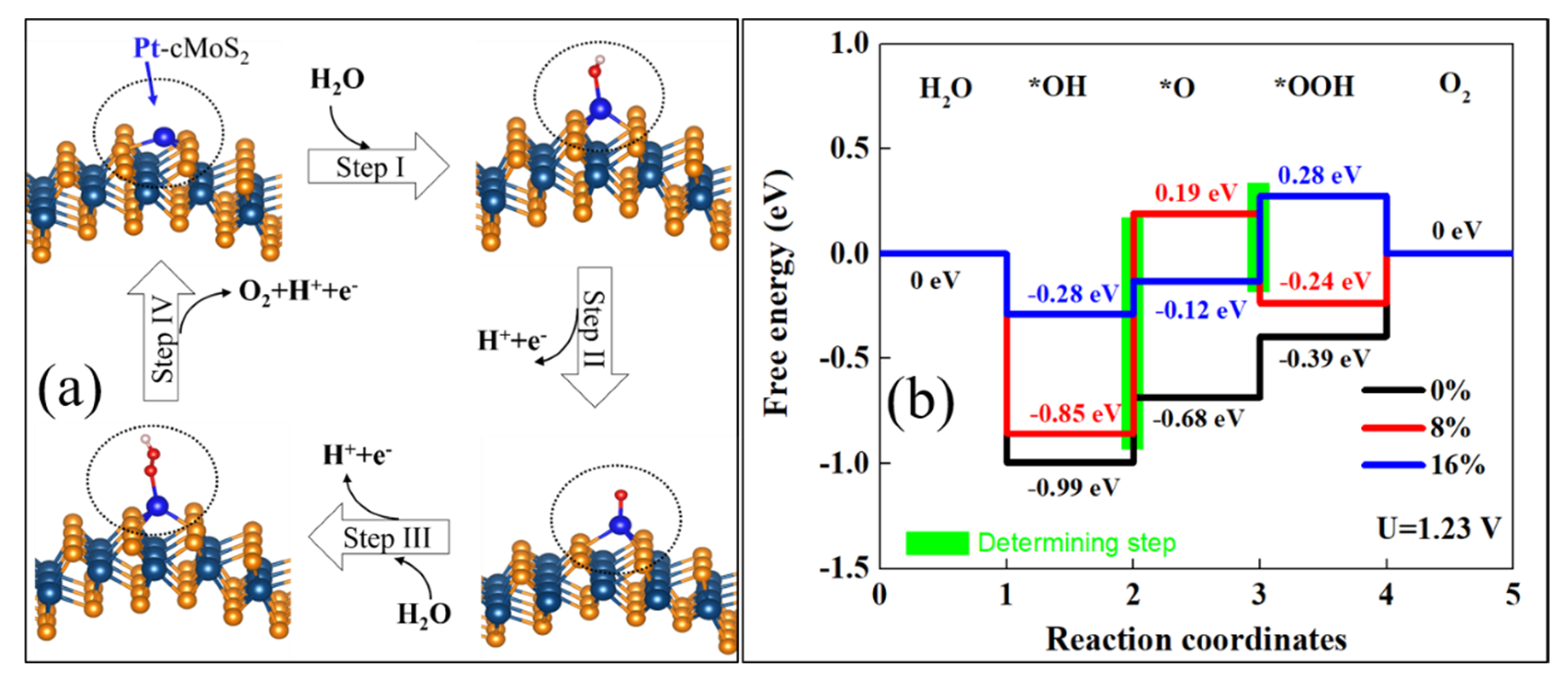 Nanomaterials 11 03173 g007