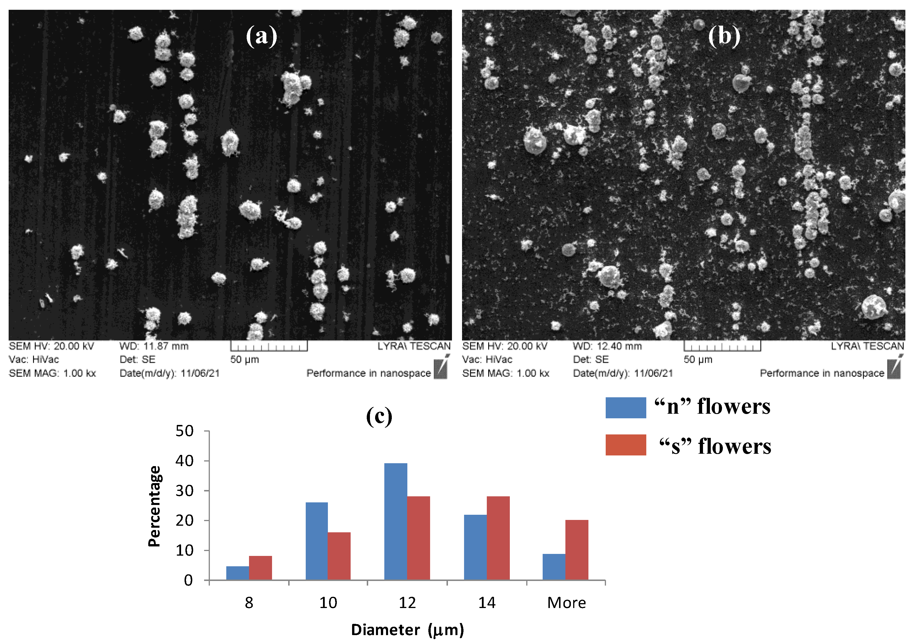 Nanomaterials 11 03184 g001 Nanomaterials 11 03184 g001