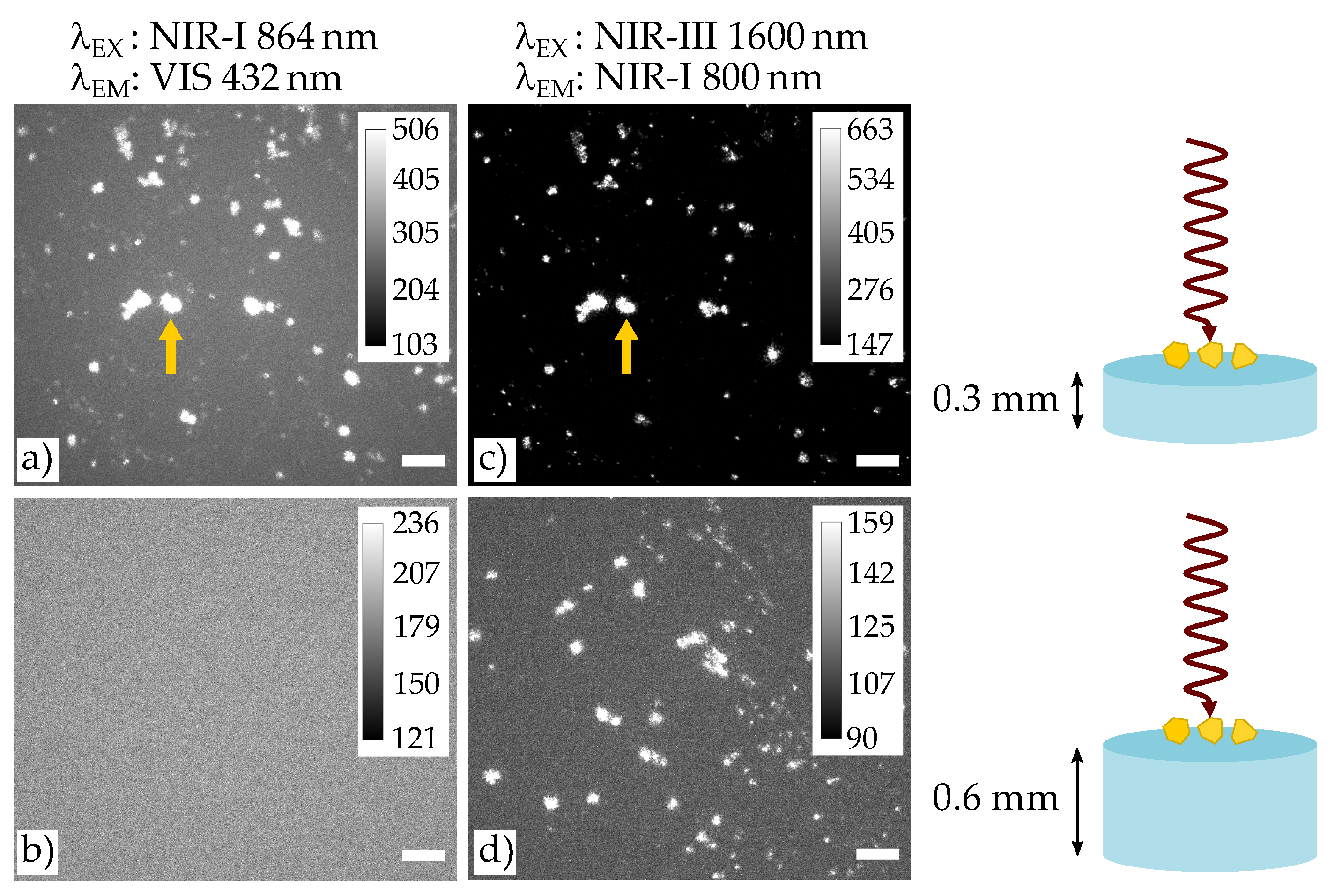 Nanomaterials 11 03193 g004
